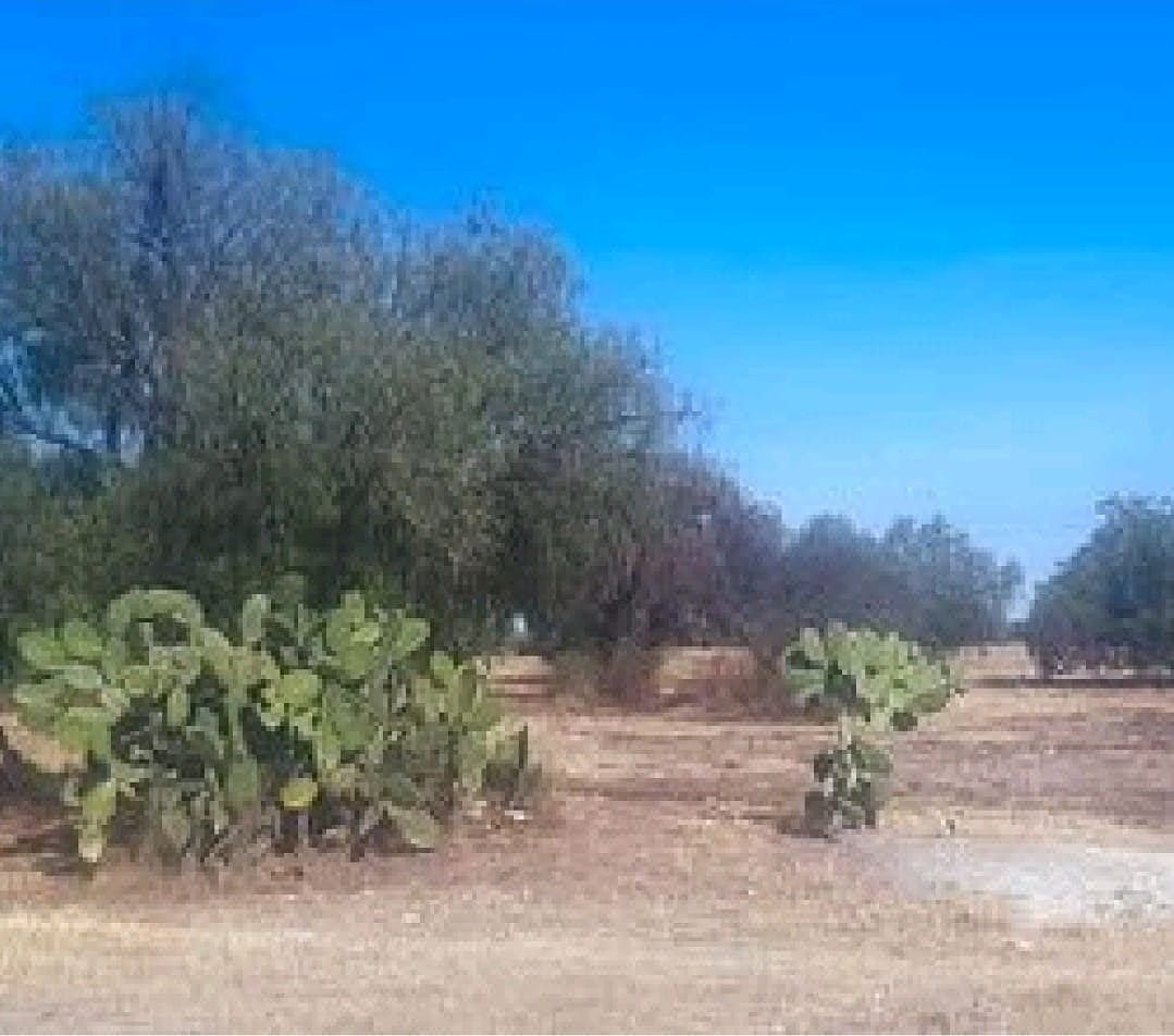 Terreno en venta en Tizayuca, La Palma de Oriente, ubicado en Huitzila, Mpio. Tizayuca Hidalgo