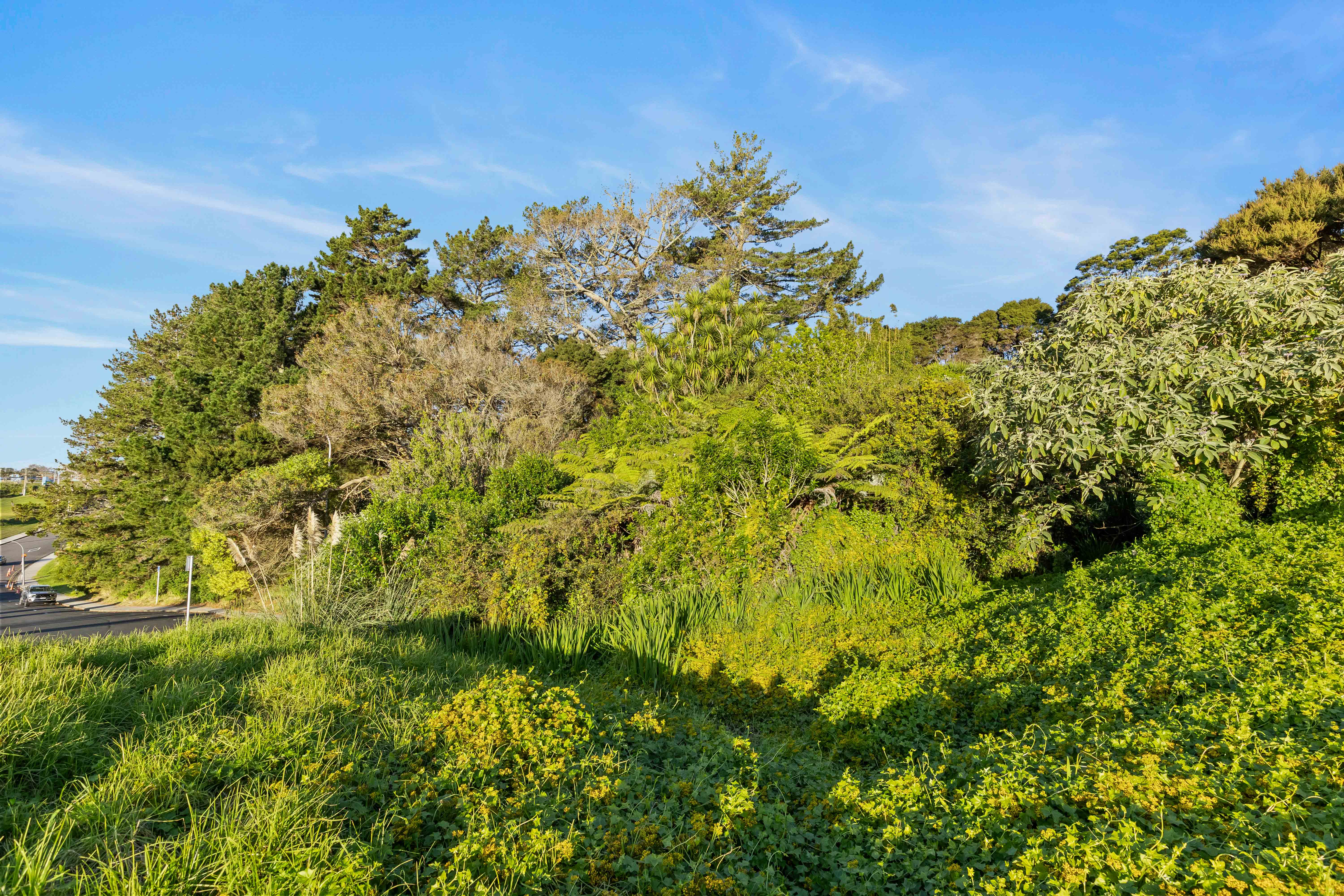 A Substantial 1,328sqm Green Holding