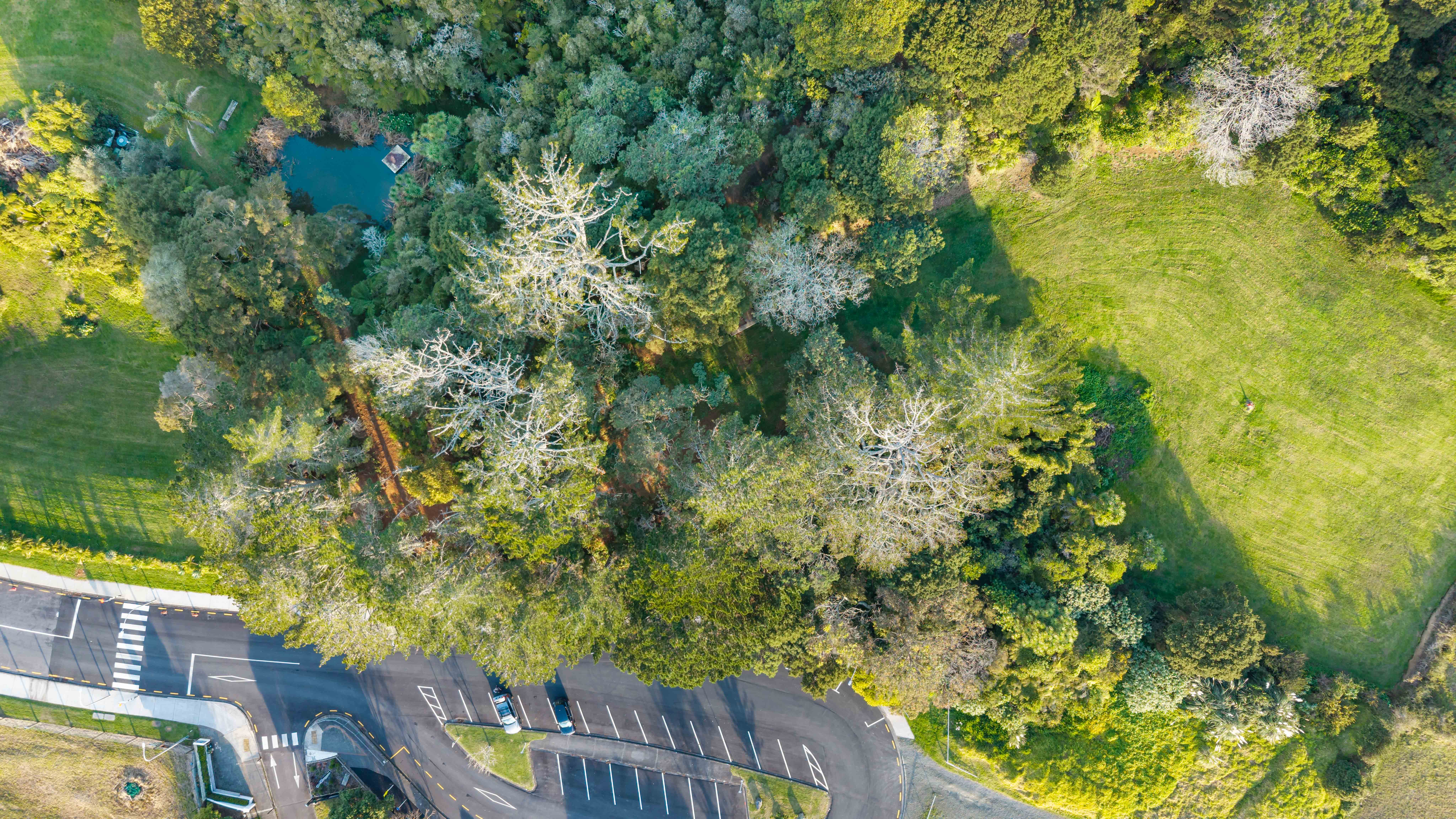 A Substantial 1,328sqm Green Holding