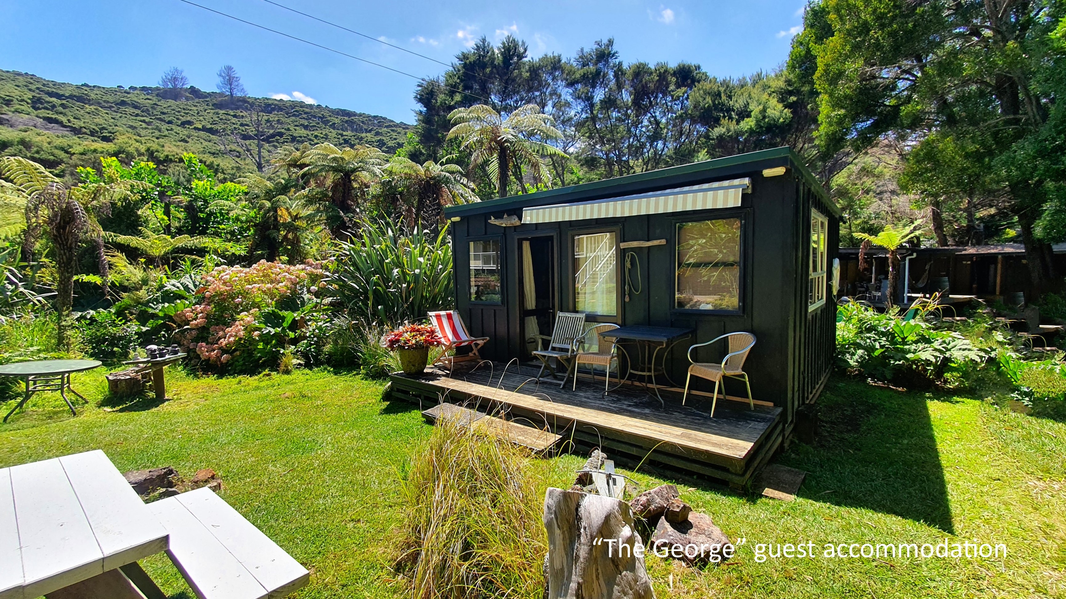 Kawau Paradise - Island Home & Guest Retreat
