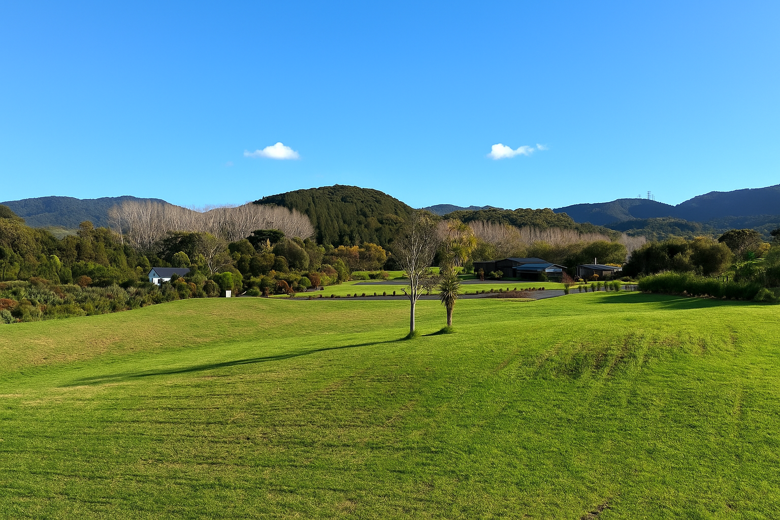 Large Land off Tara Road!