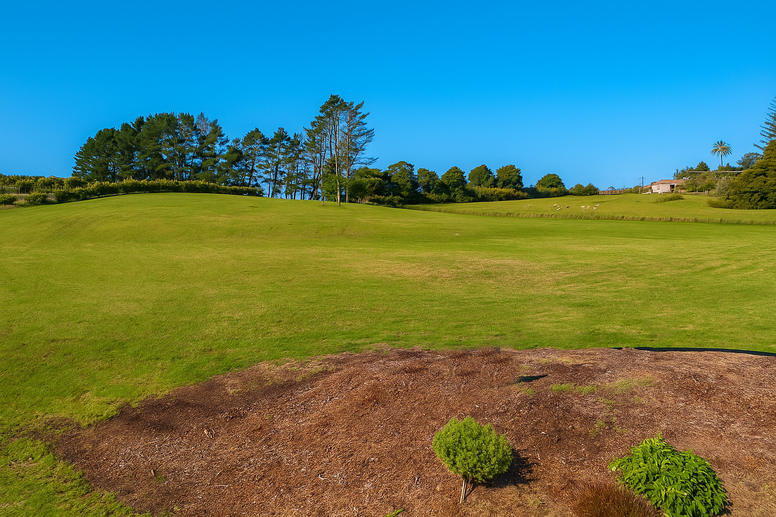Large Land off Tara Road!