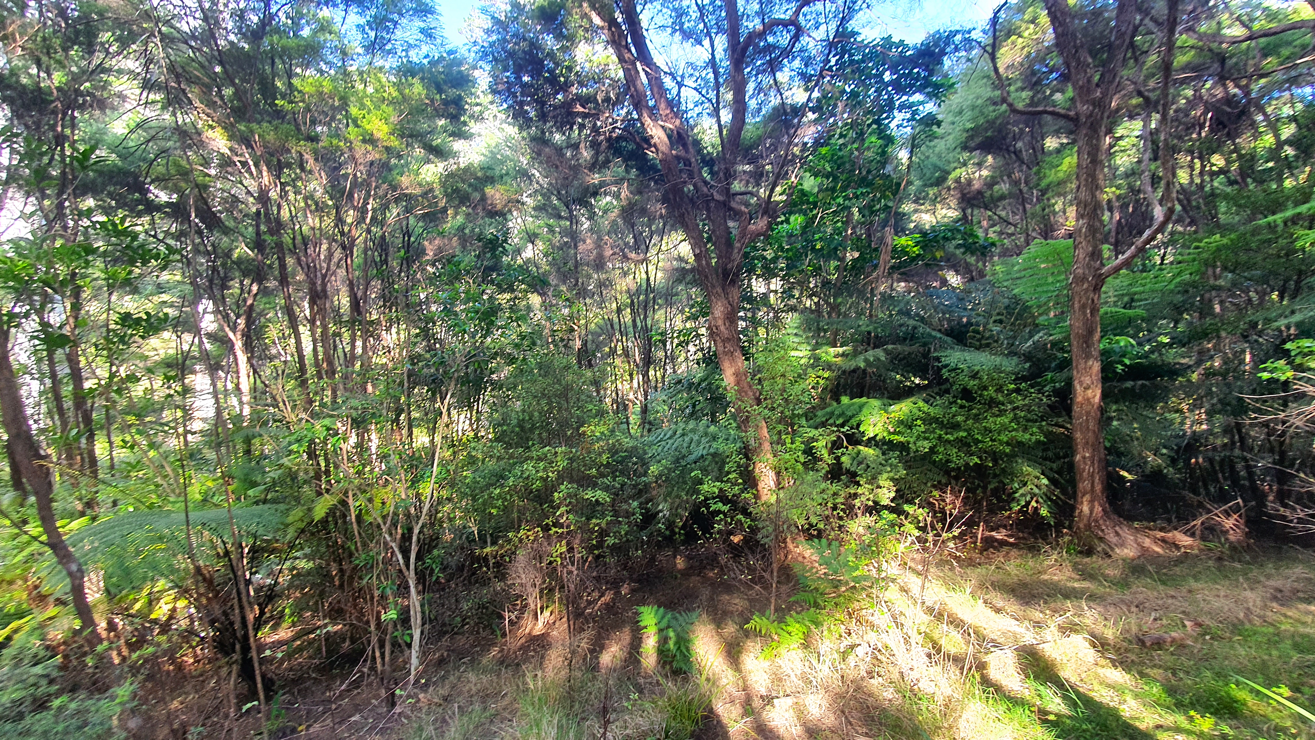 Offers from $210K - Too Cheap to Ignore!