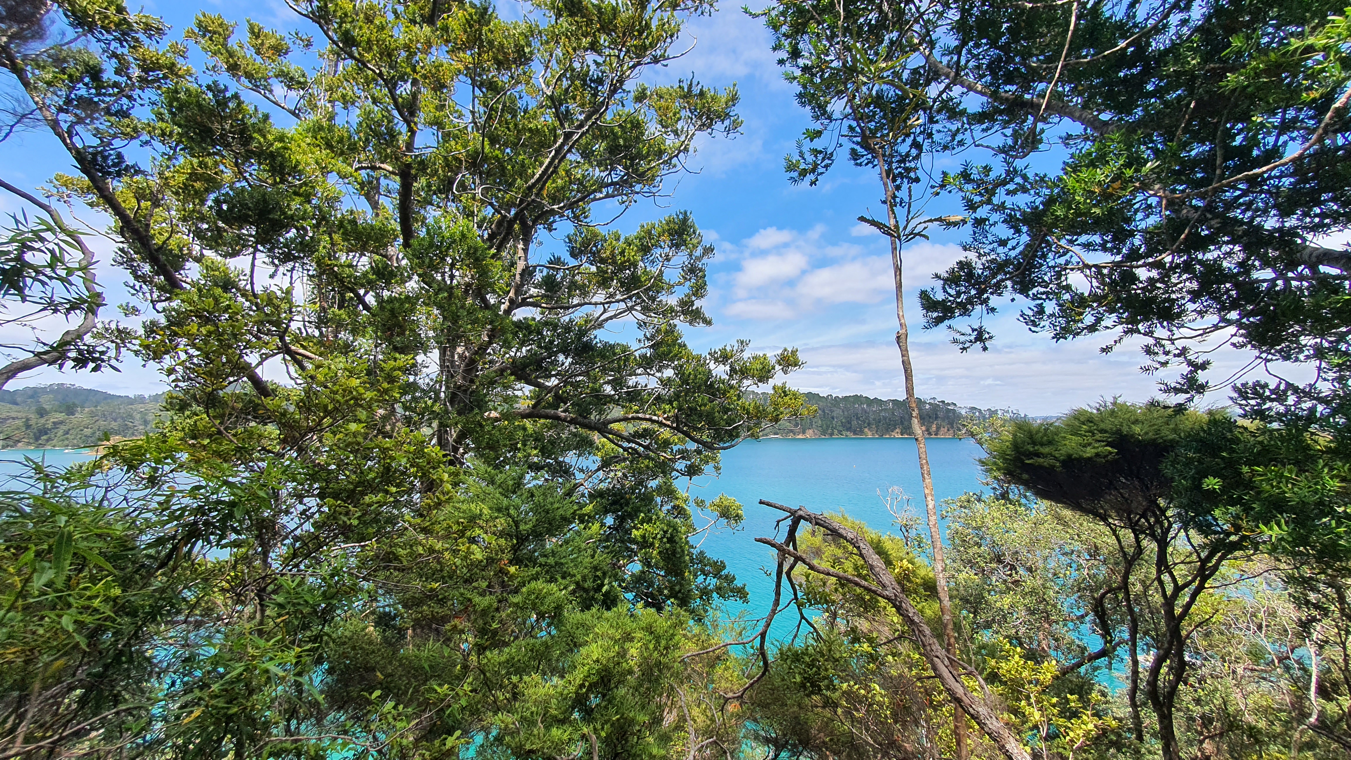 2.71 Hectares on 2 titles + Wharf = BARGAIN @ $695K!
