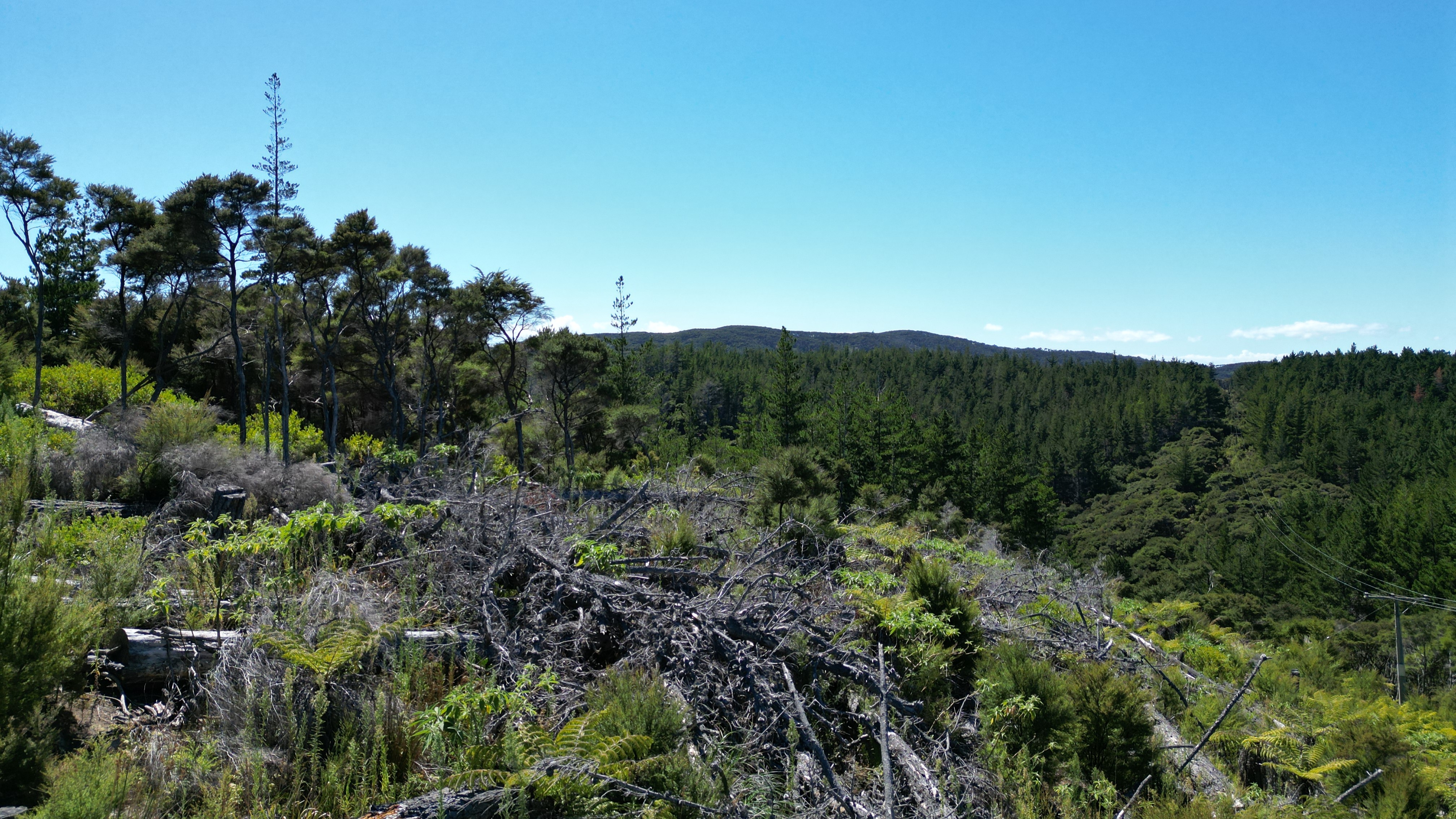 Affordable Island Escape - 3,877m2 in South Cove
