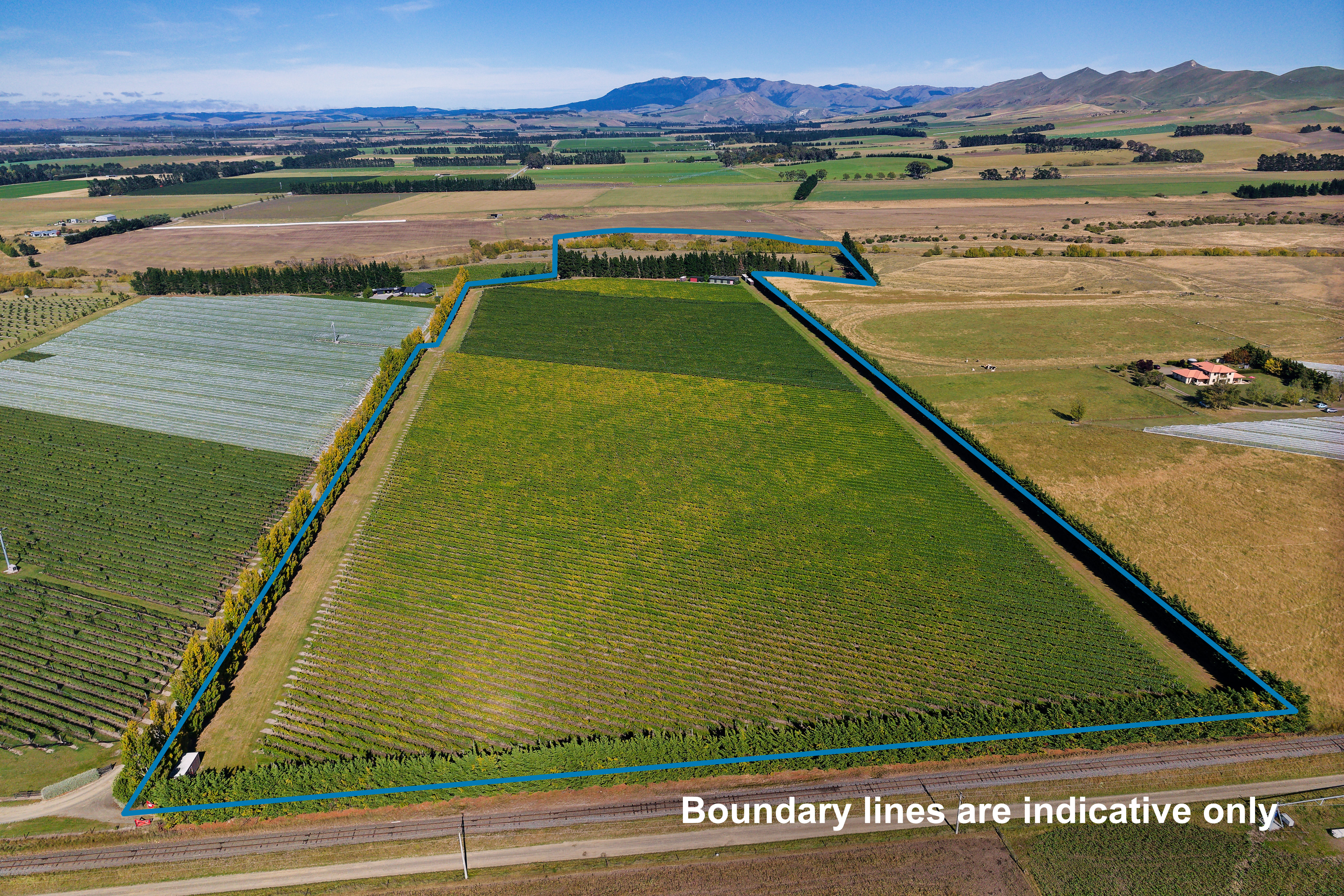 Waipara Vineyard Lifestyle