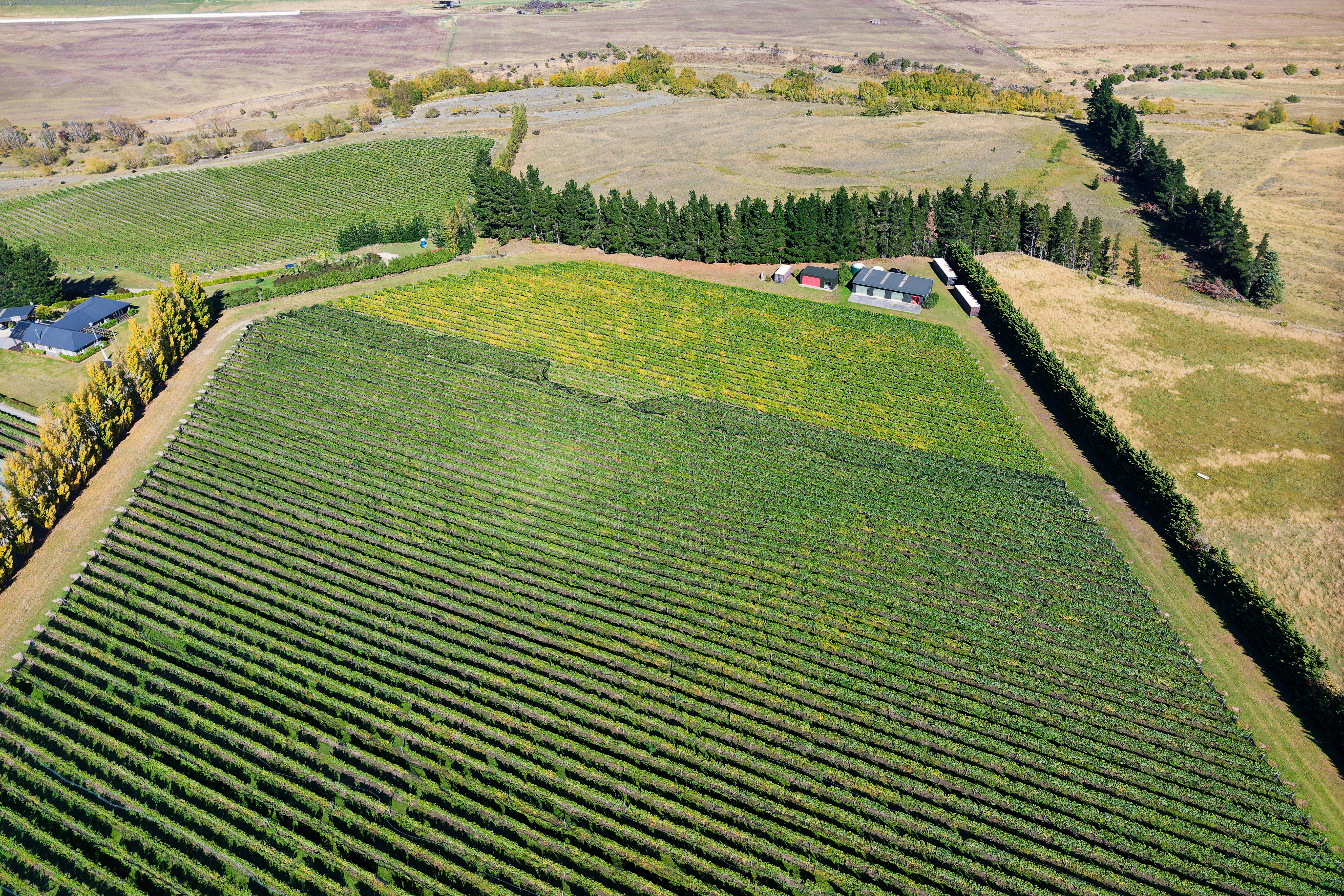 Waipara Vineyard Lifestyle