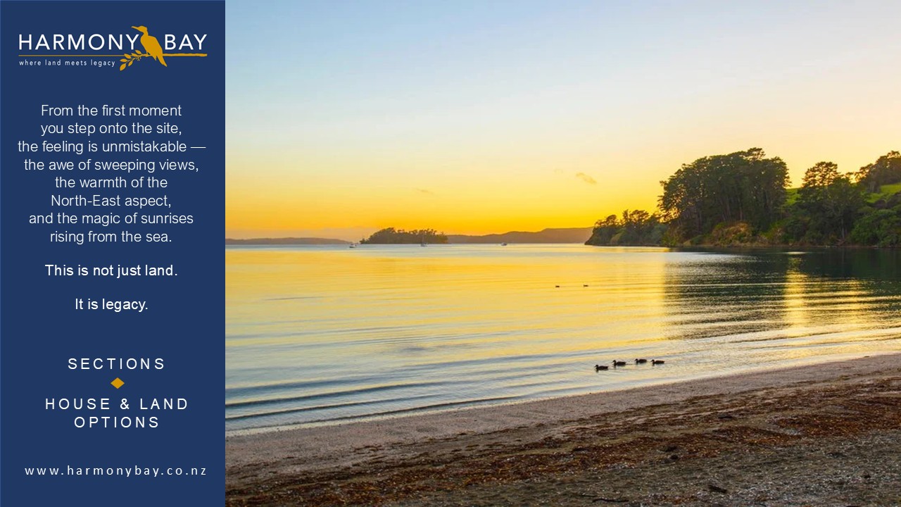 Algies Bay Premium Land Release
