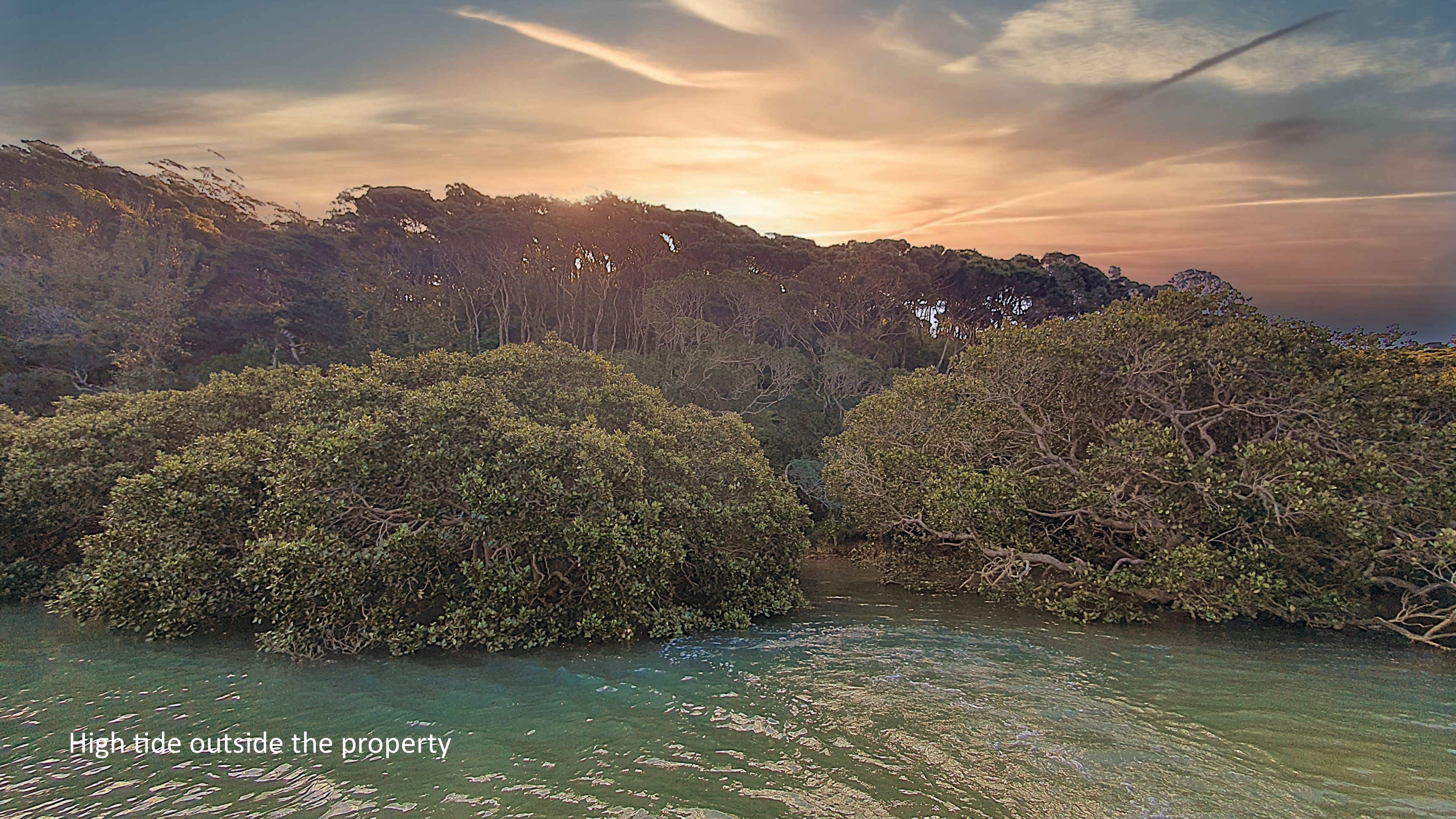 A Wildly Affordable Island Escape!