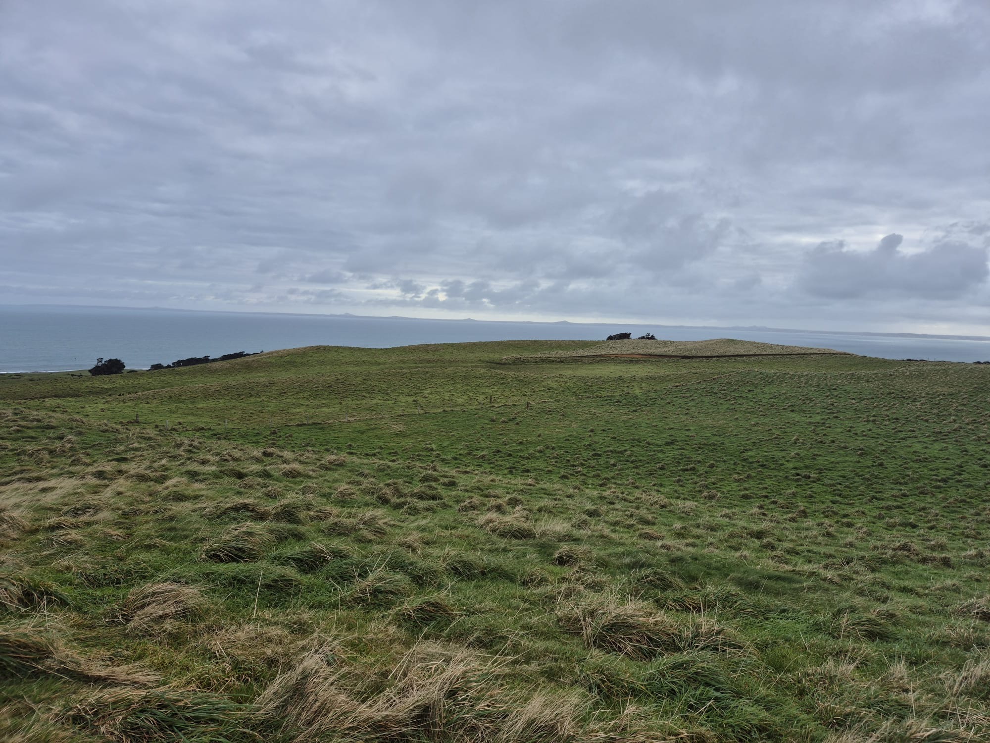 Exceptional Chatham Island - Three 1.0 Ha Lots