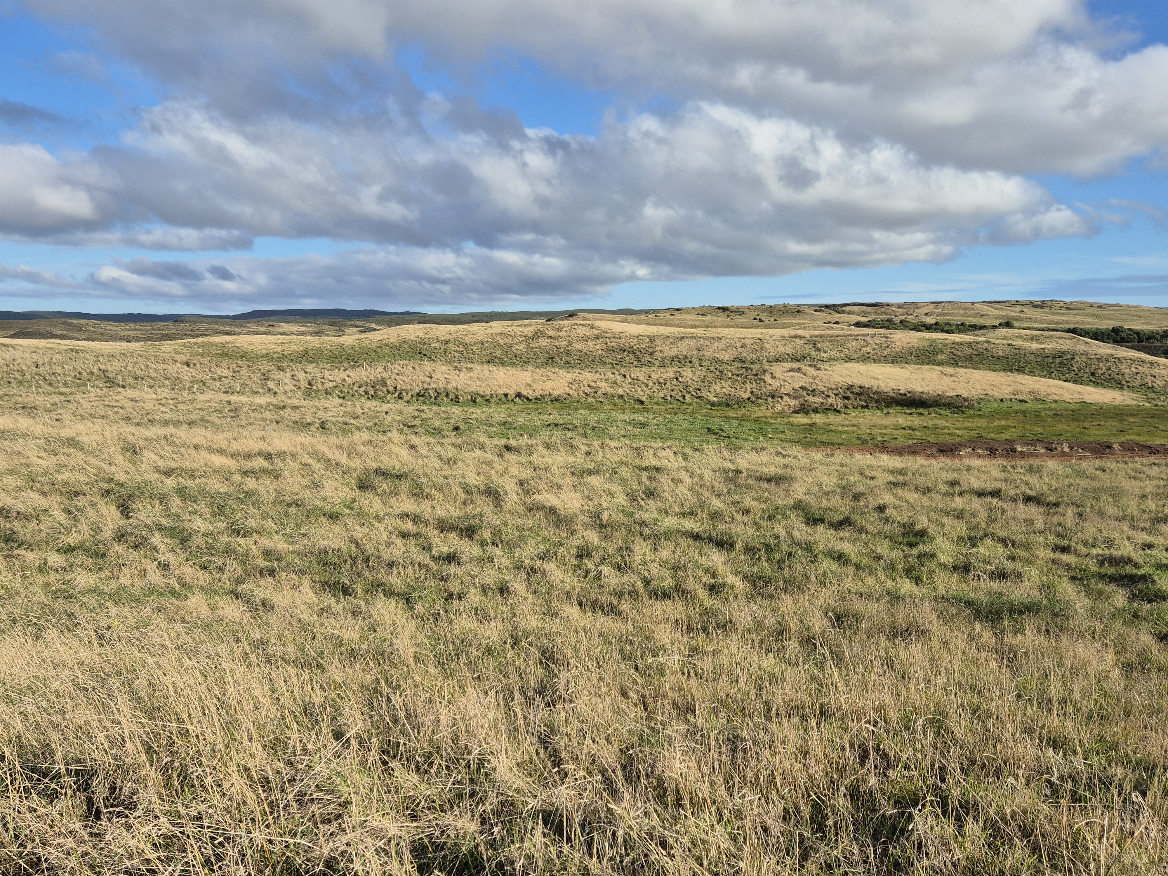 Exceptional Chatham Island - Three 1.0 Ha Lots