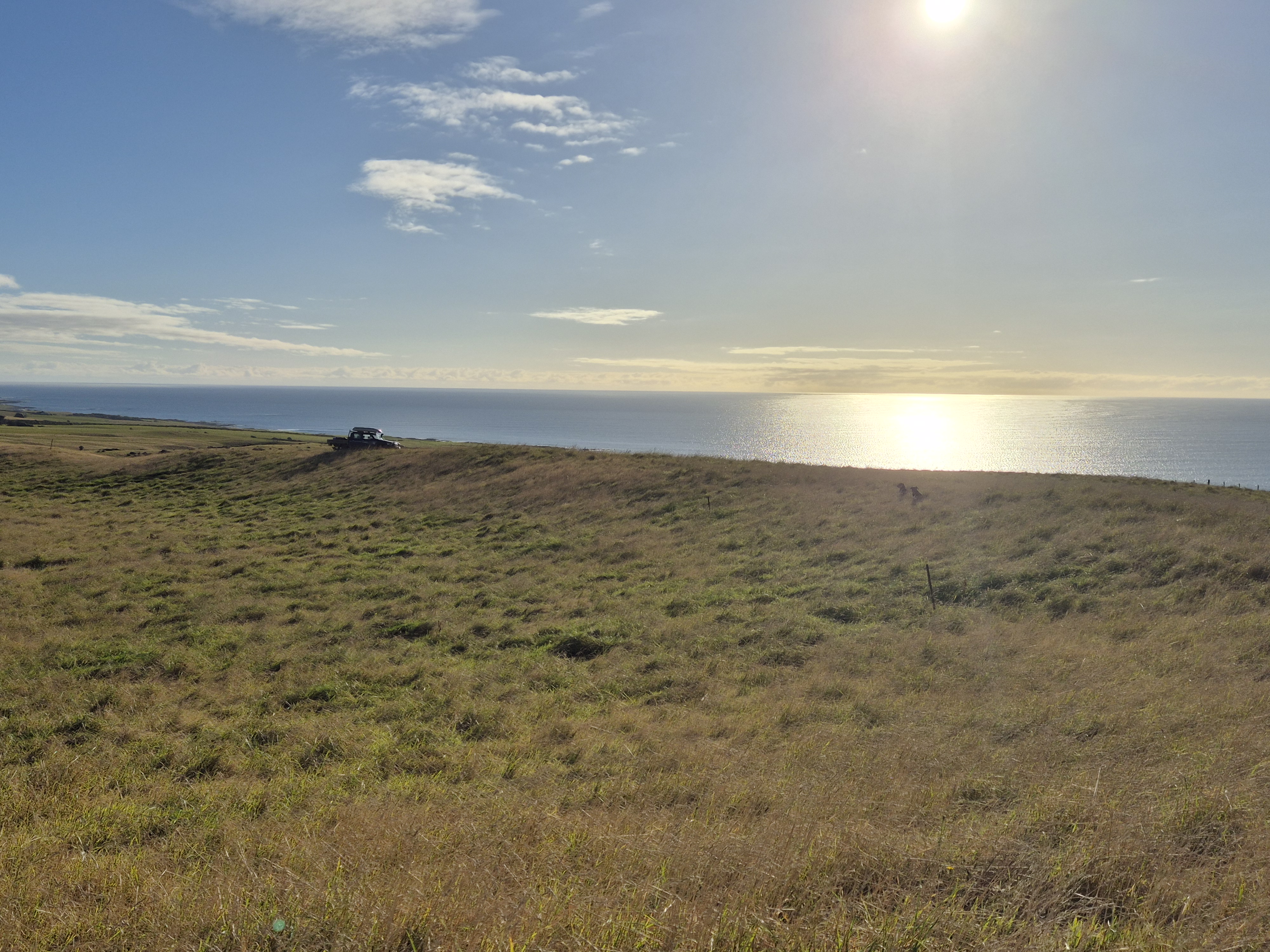 Exceptional Chatham Island - Three 1.0 Ha Lots