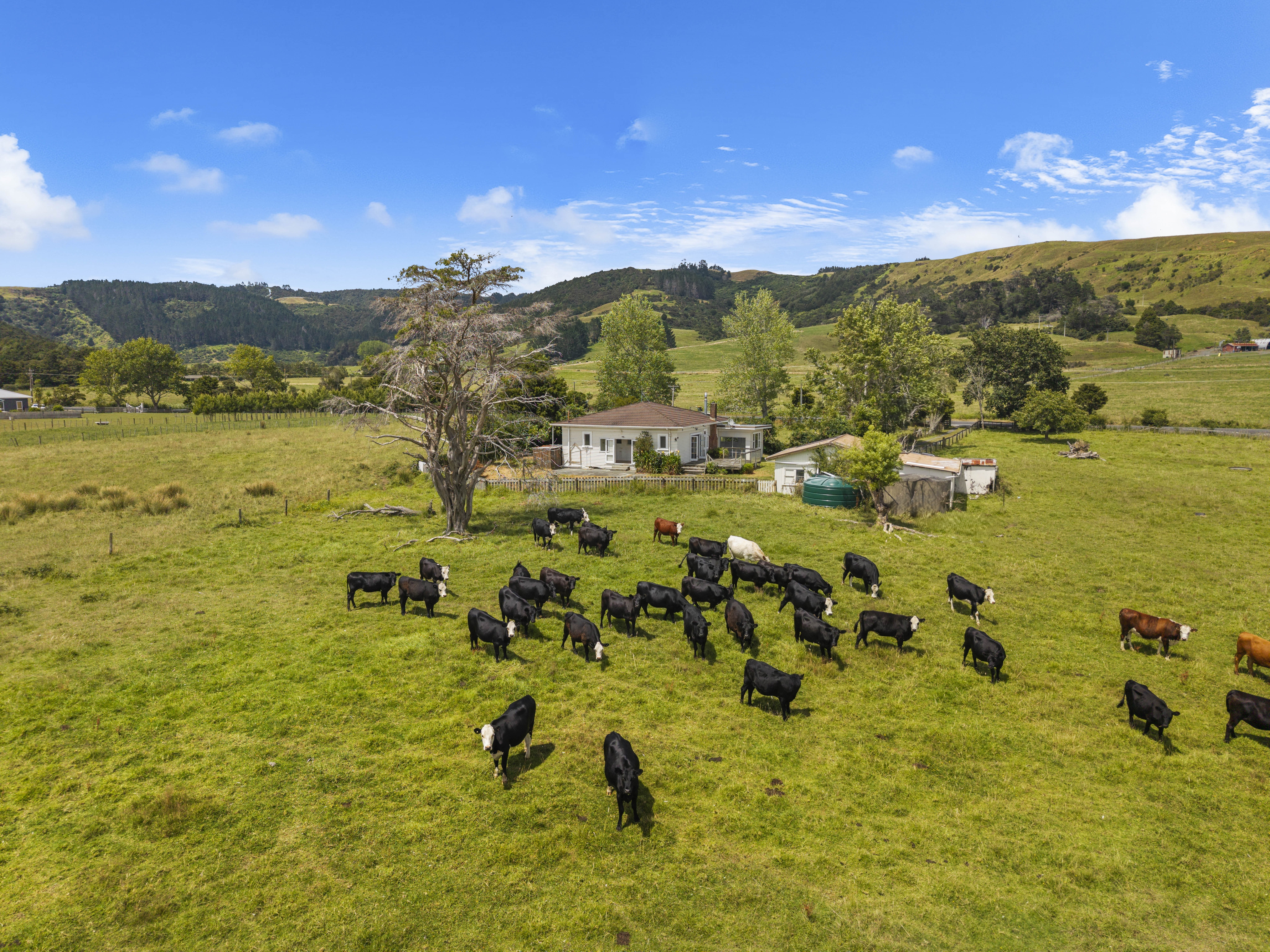 Bargain Lifestyle - Flat Land, Shed, Endless Potential