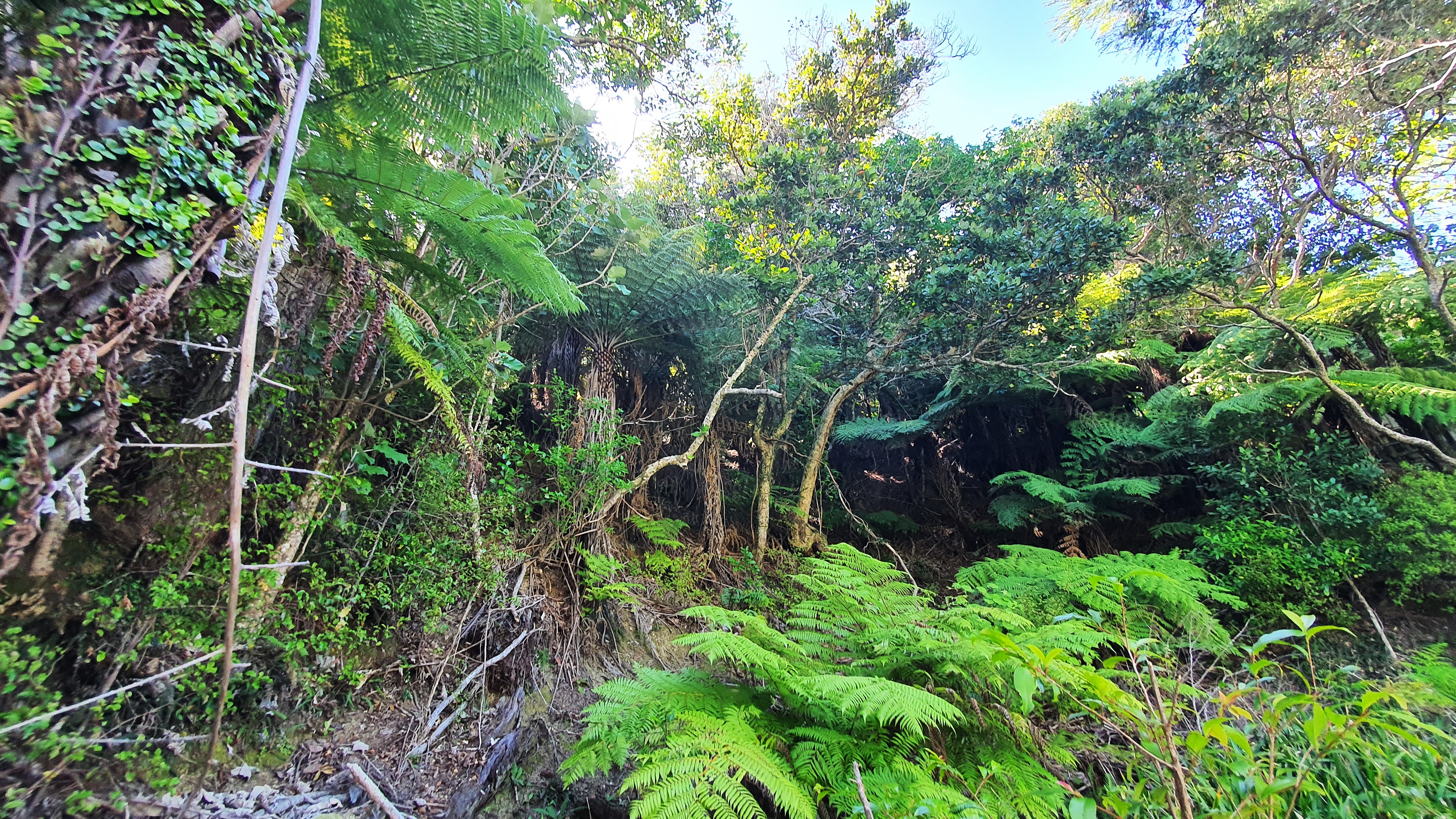 BIG PRICE REDUCTION - Only $249K!