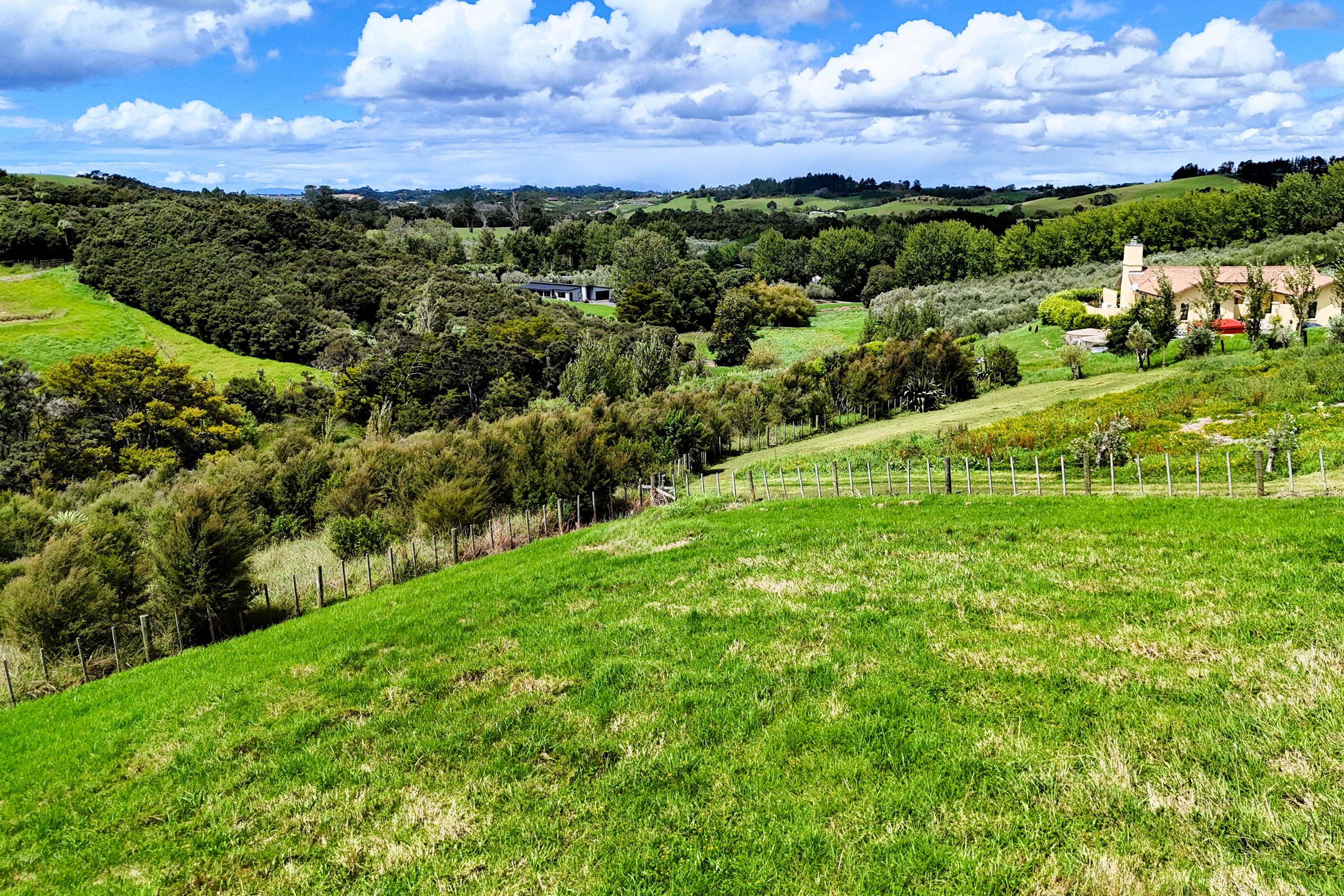 Tuscany Inspired Mangawhai Lifestyle