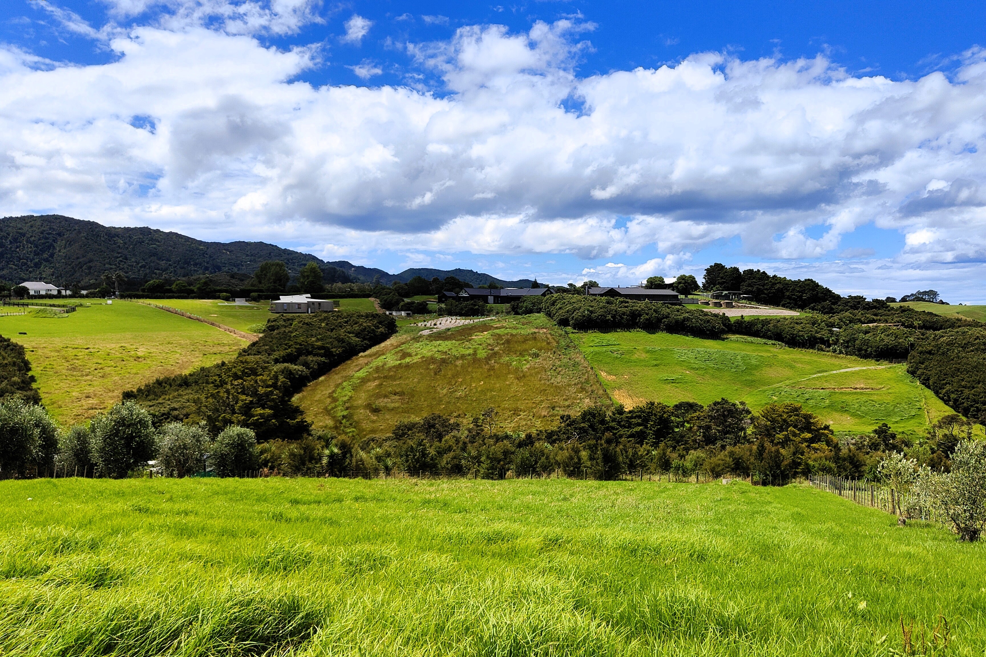 Tuscany Inspired Mangawhai Lifestyle