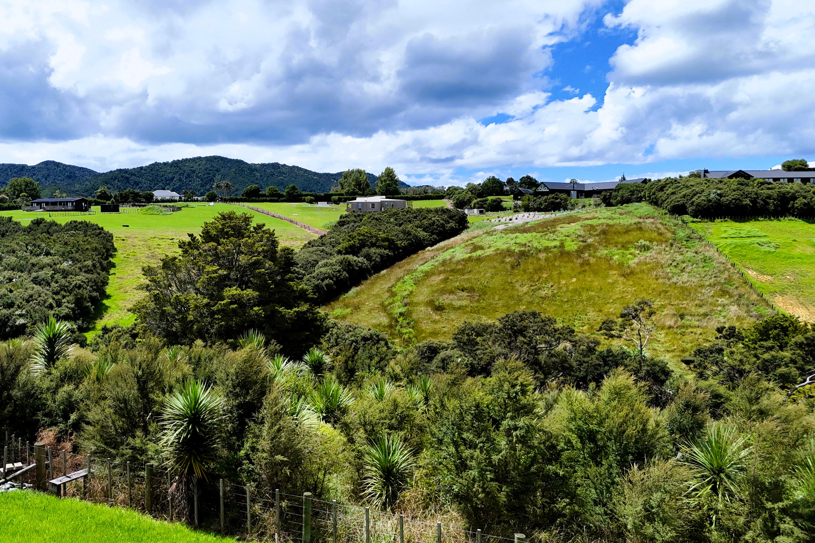 Tuscany Inspired Mangawhai Lifestyle