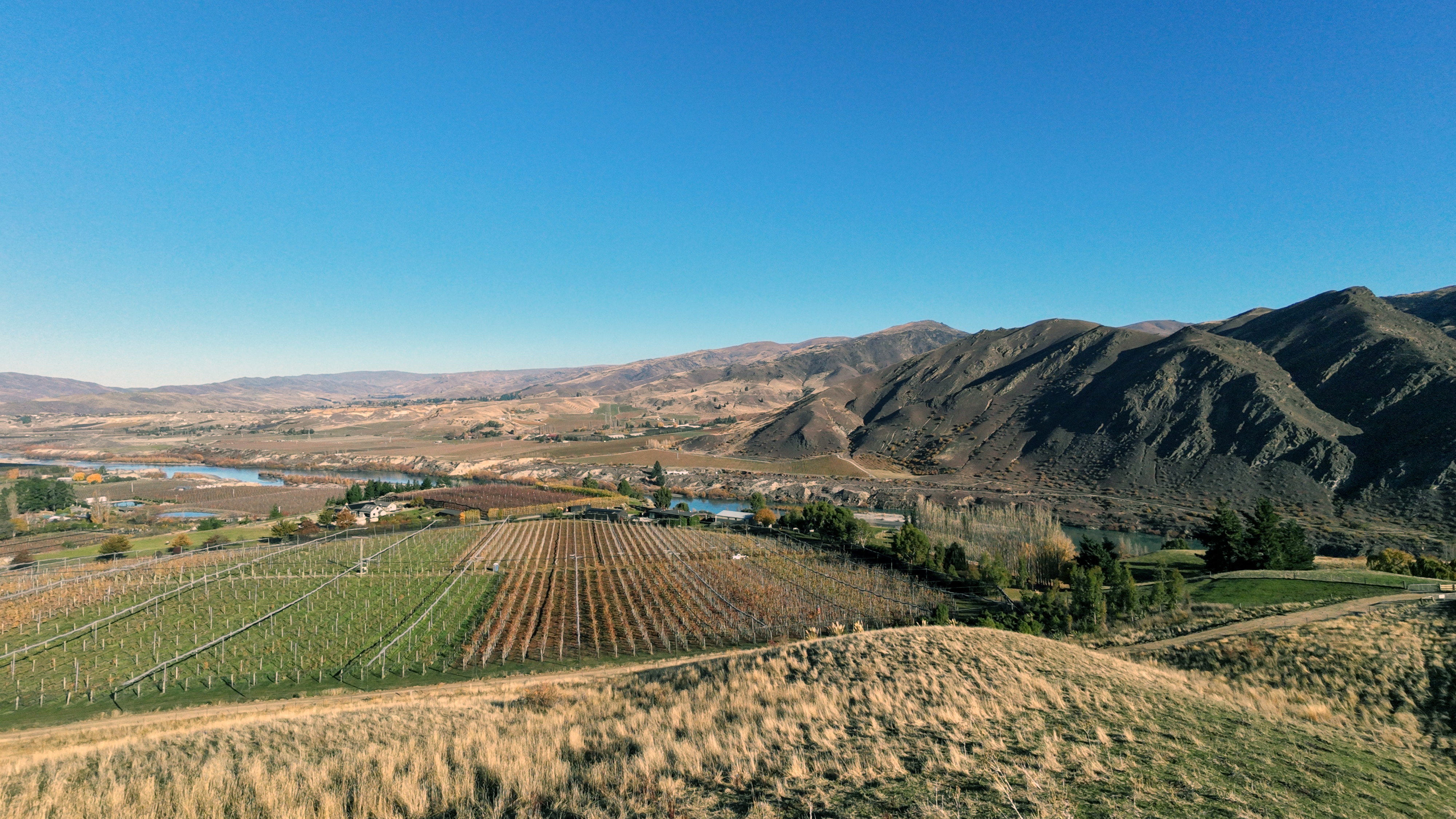 Views Across Orchards & Hills