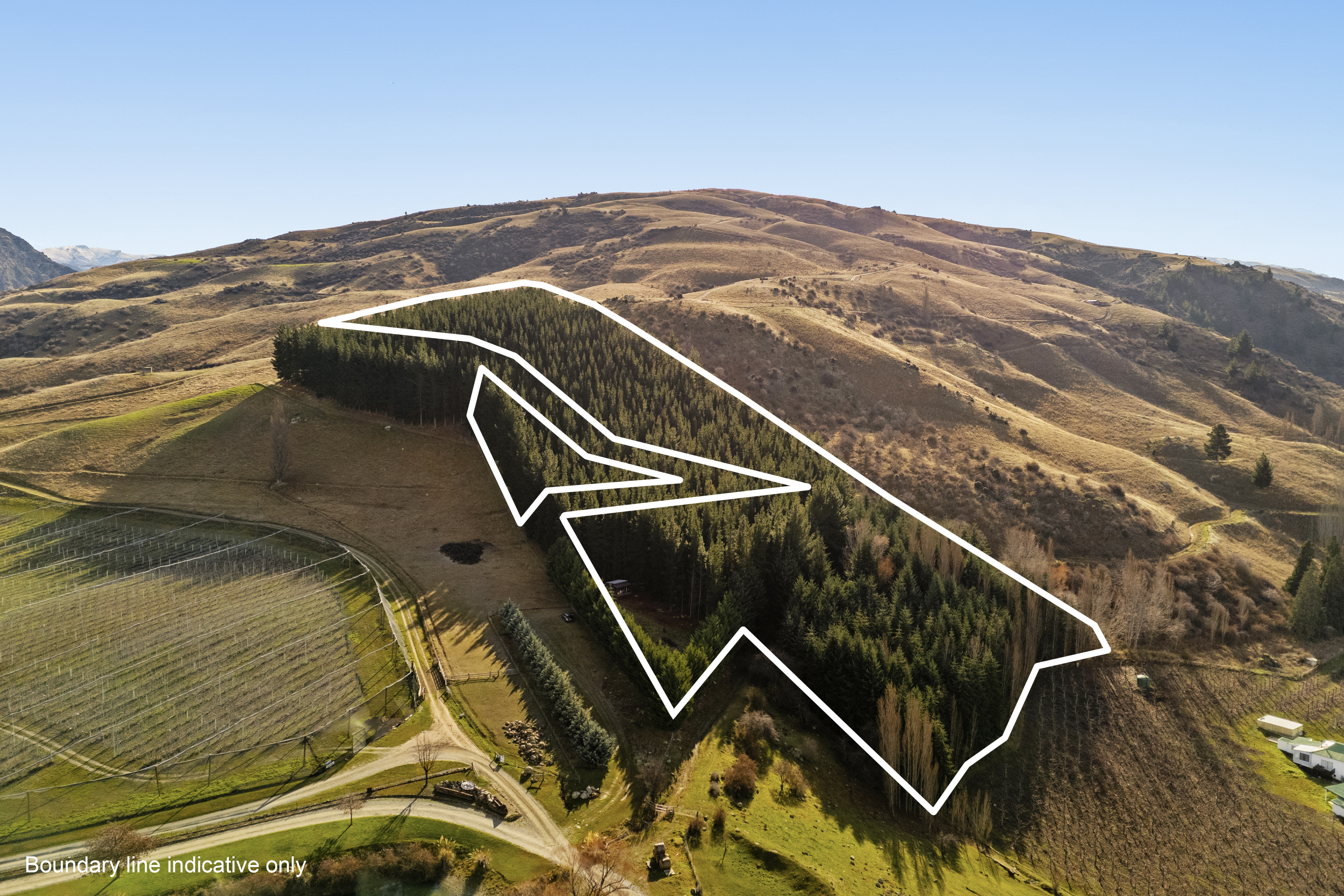Views Across Orchards & Hills