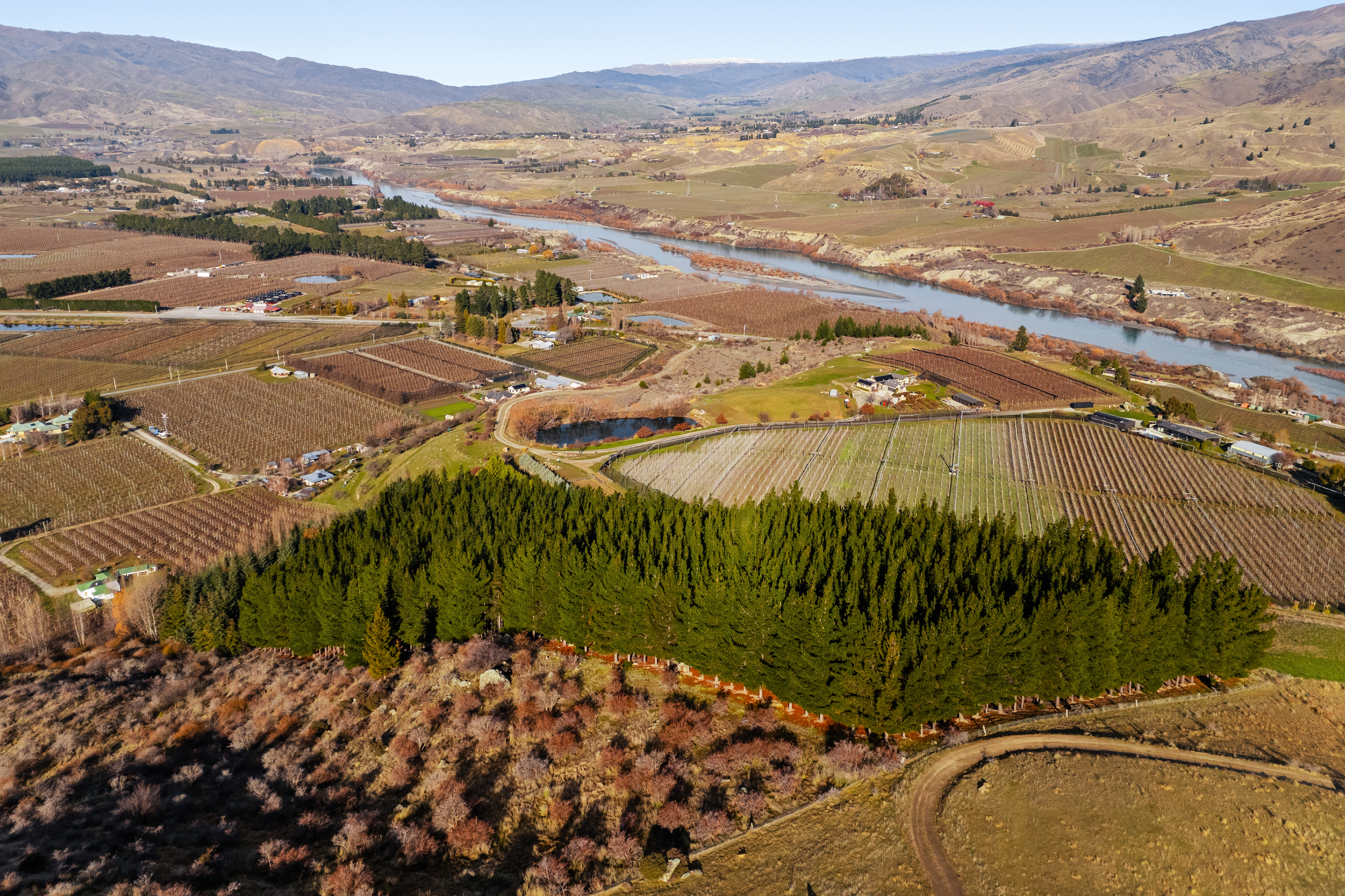 Views Across Orchards & Hills