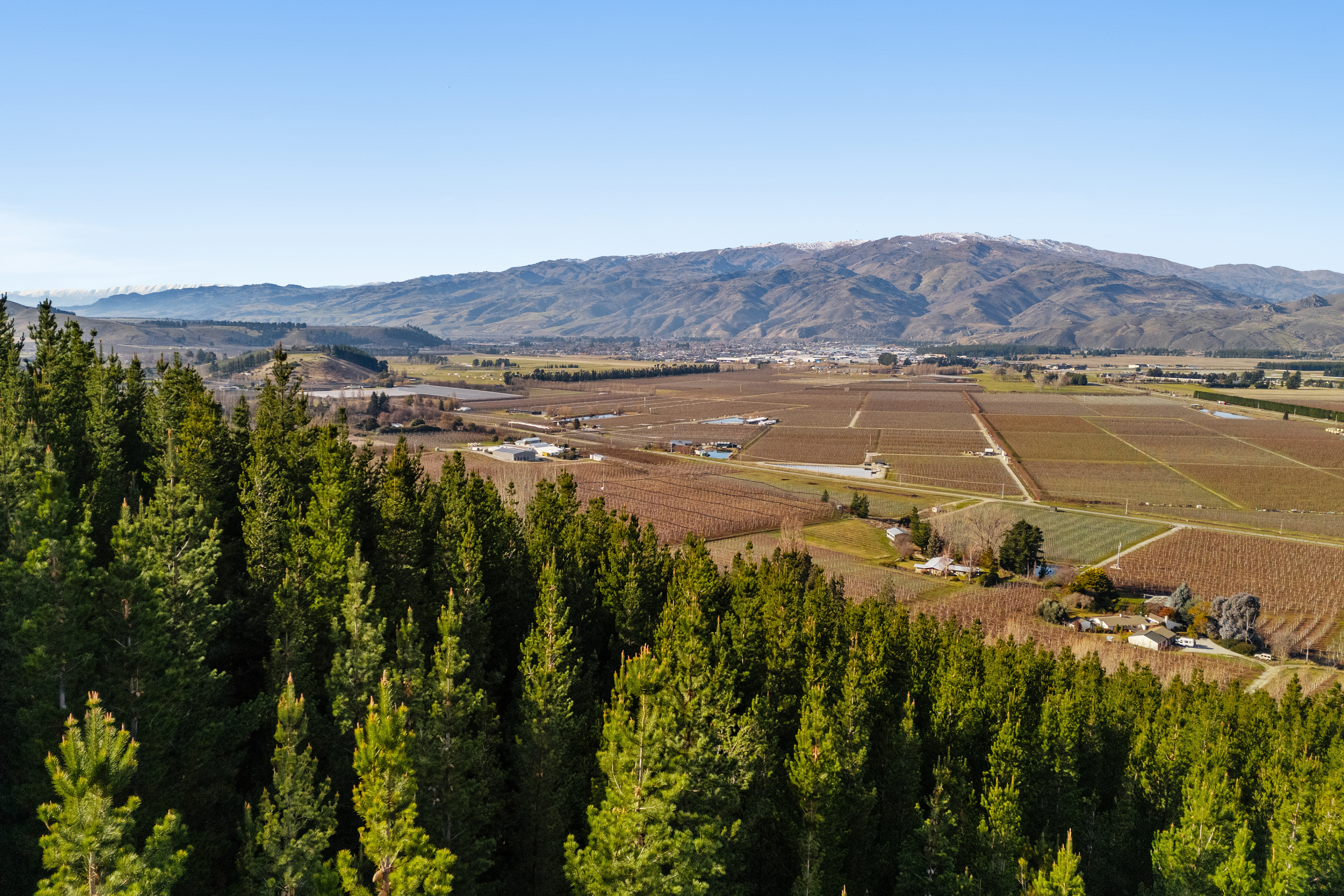 Views Across Orchards & Hills