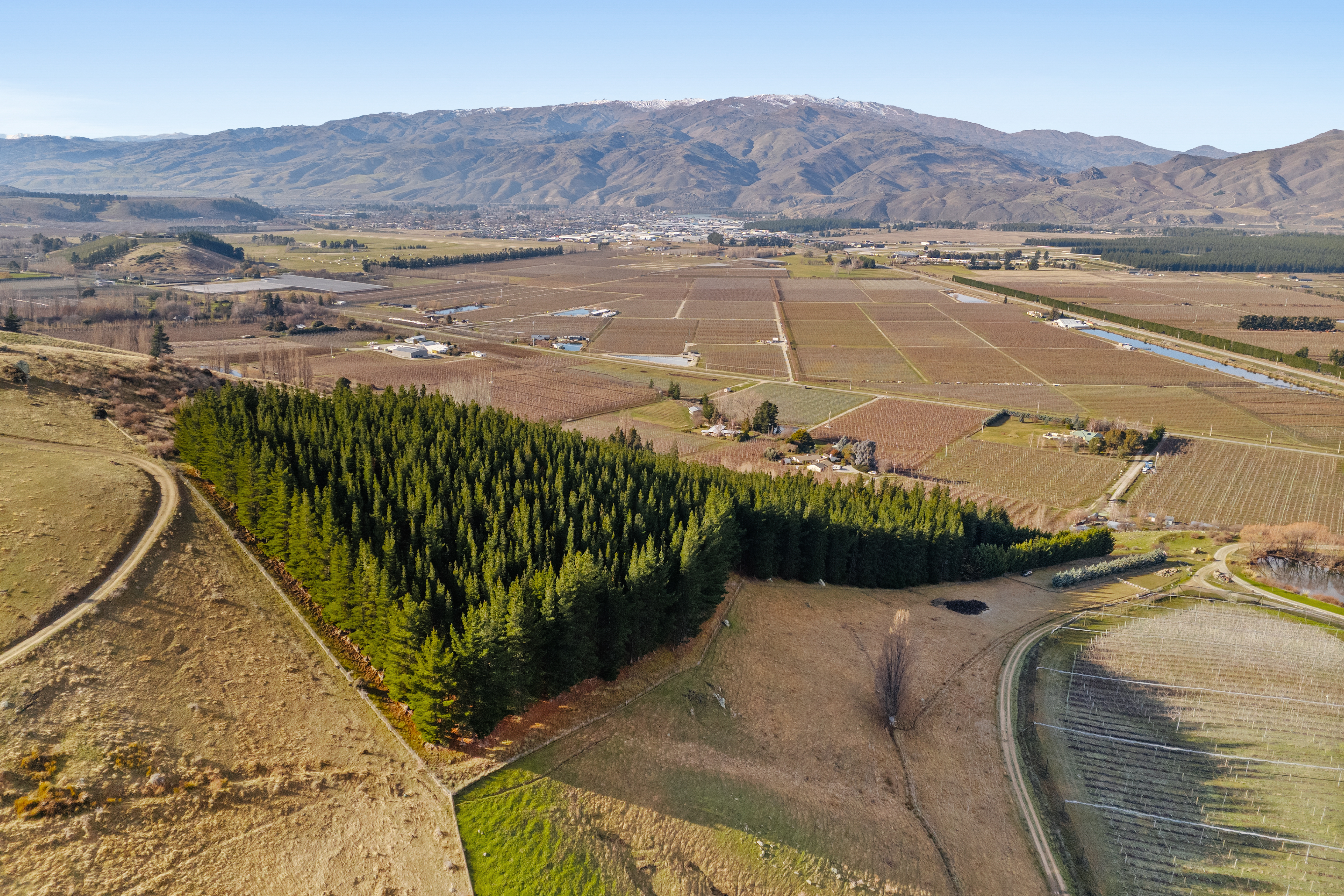 Views Across Orchards & Hills