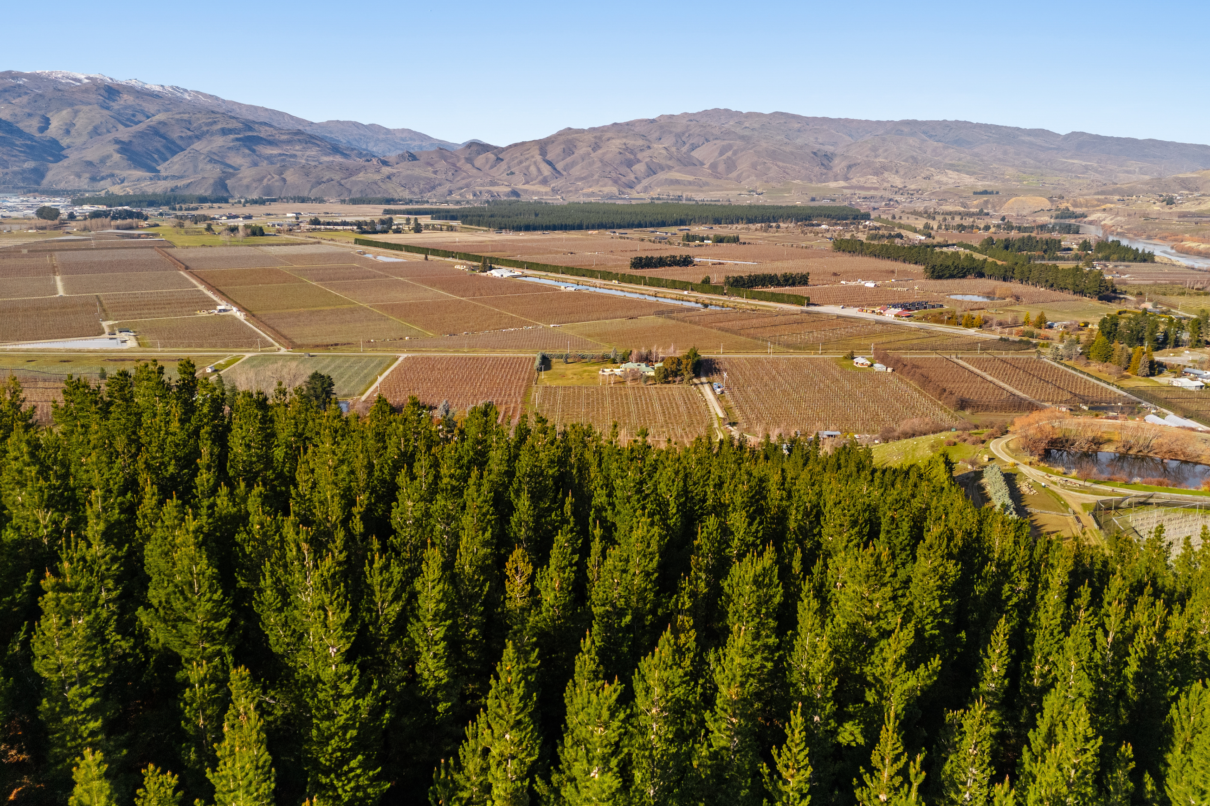 Views Across Orchards & Hills
