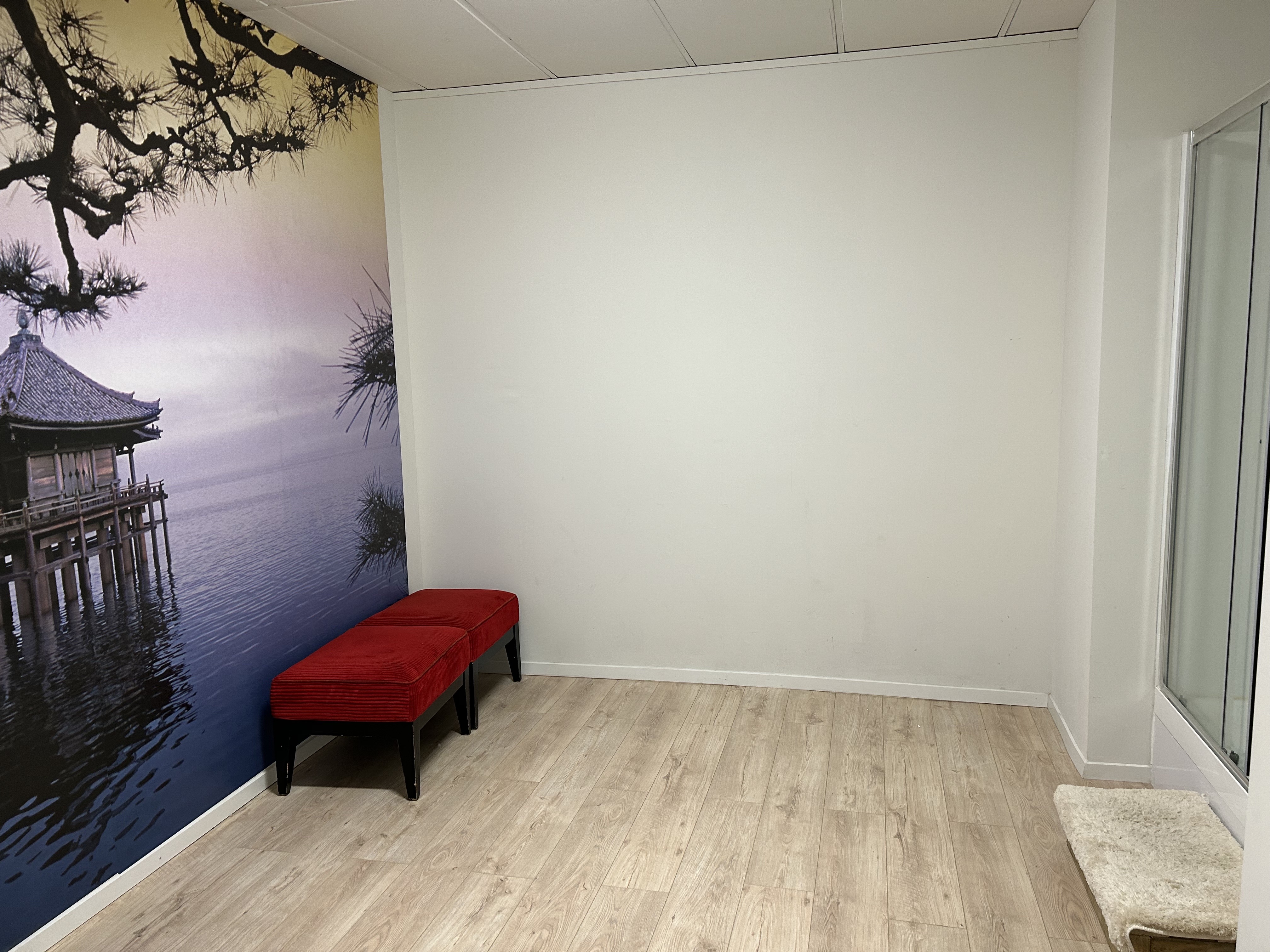 Fitted CBD Massage Studio / Clinic Space