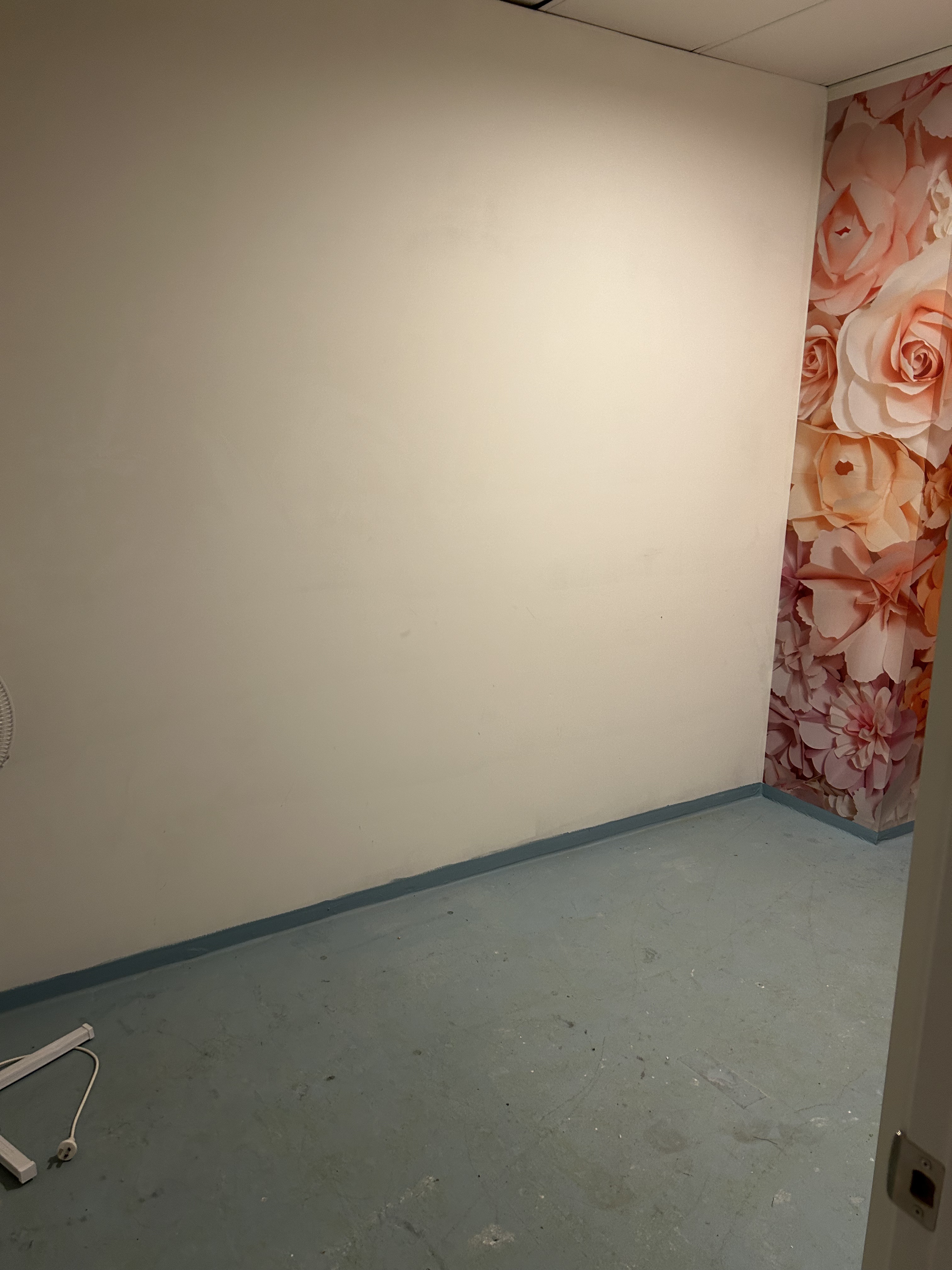 Fitted CBD Massage Studio / Clinic Space