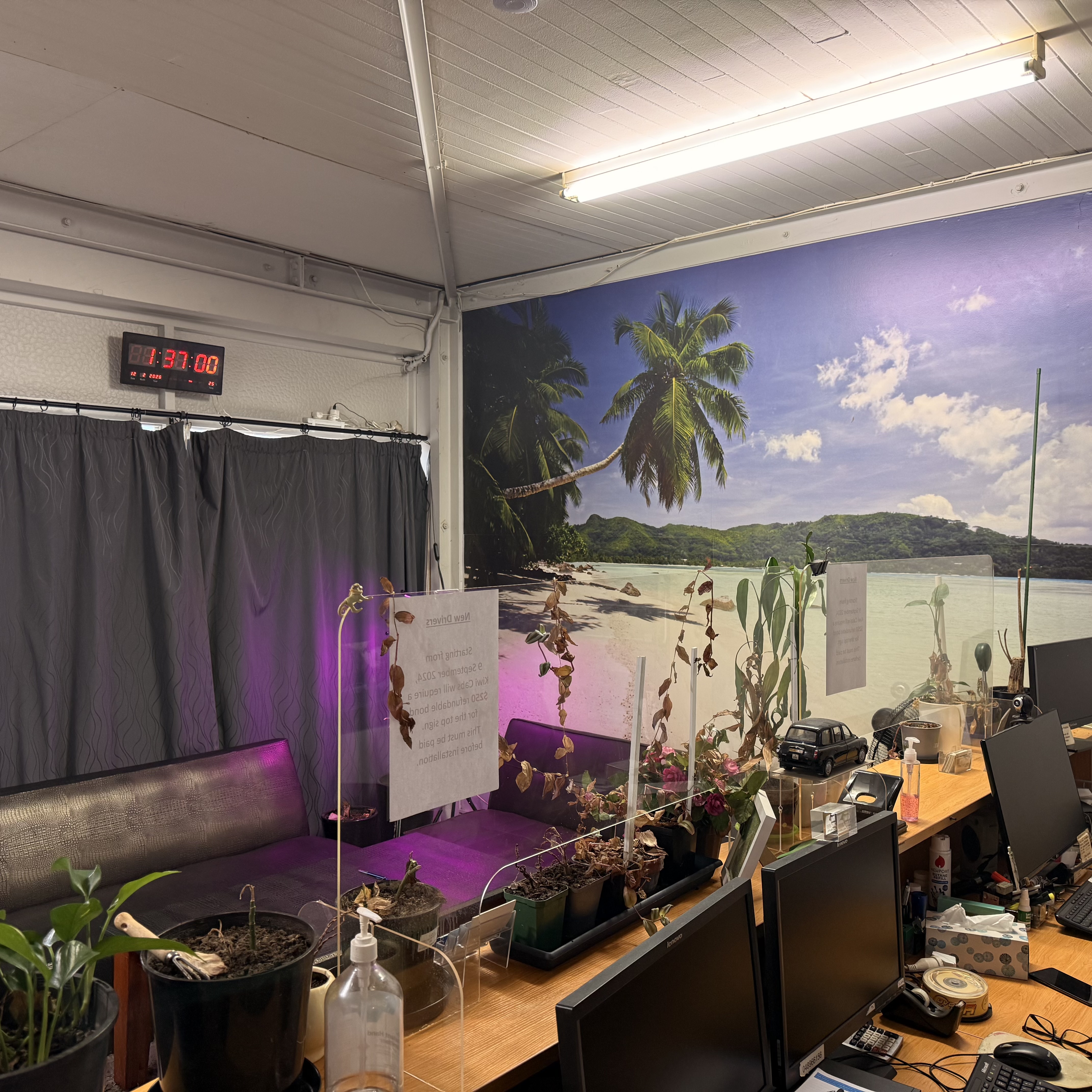Affordable Office Studio in Miramar 4