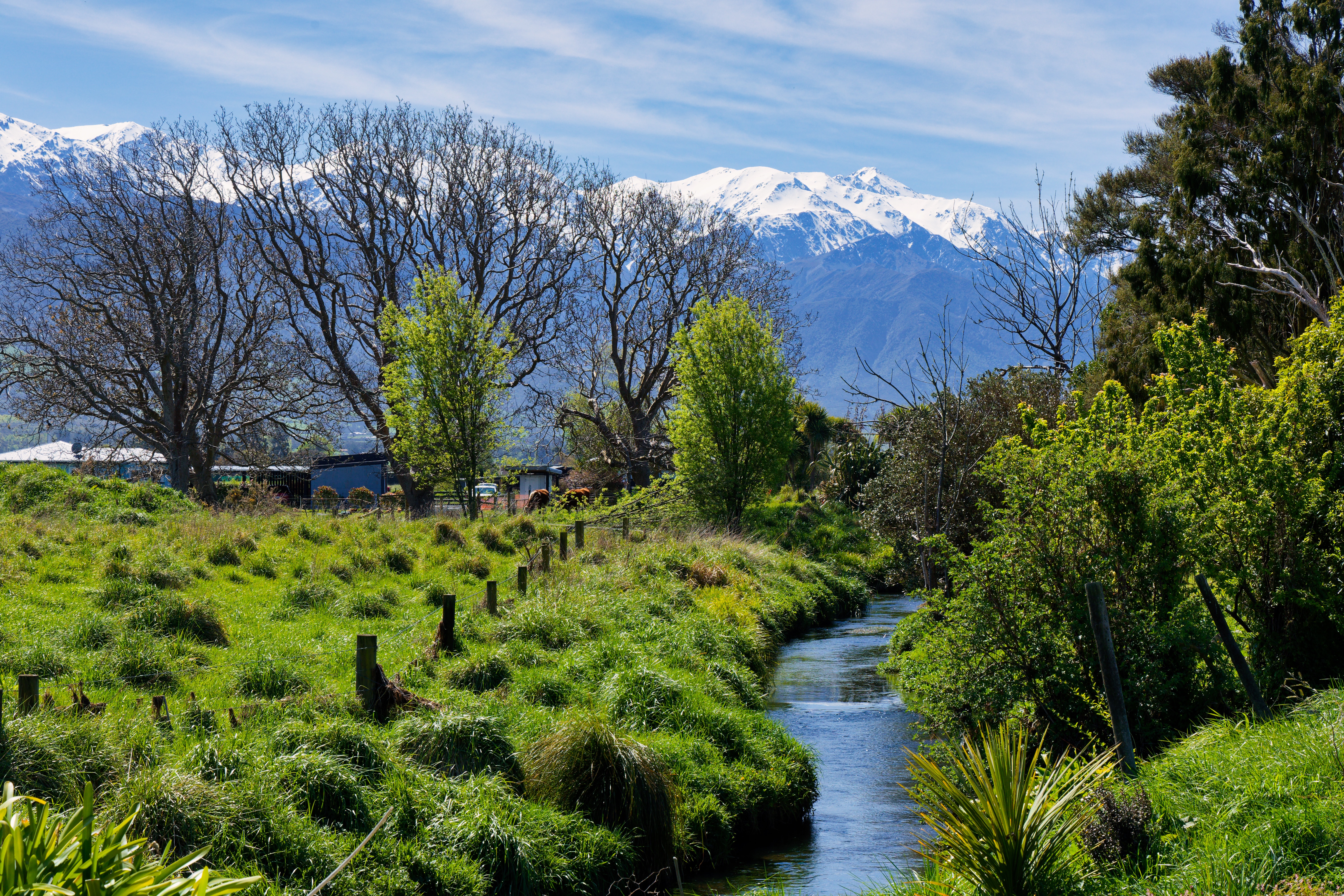 Residential for sale in Kaikoura, 151a Beach Road, Kaikoura