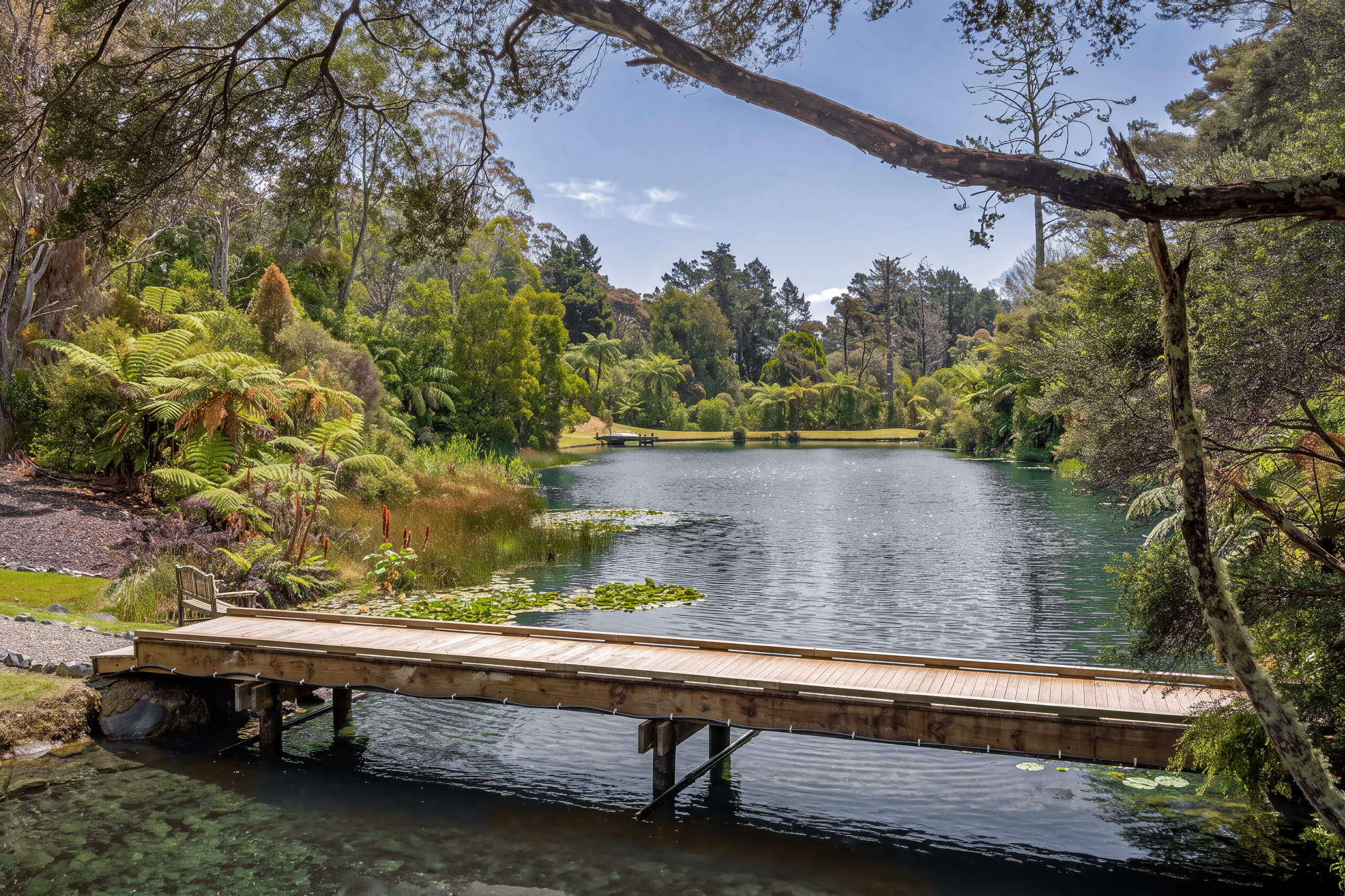 Residential for sale in Rodney, 276B Smyth Road, Dome Forest, 165 m²