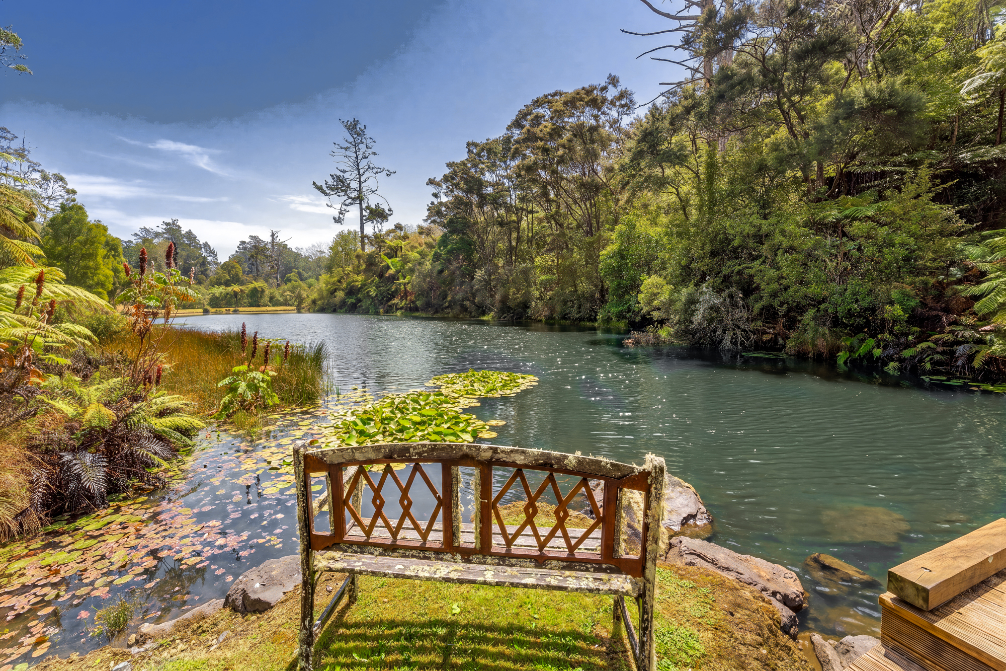 Residential for sale in Rodney, 276B Smyth Road, Dome Forest, 165 m²