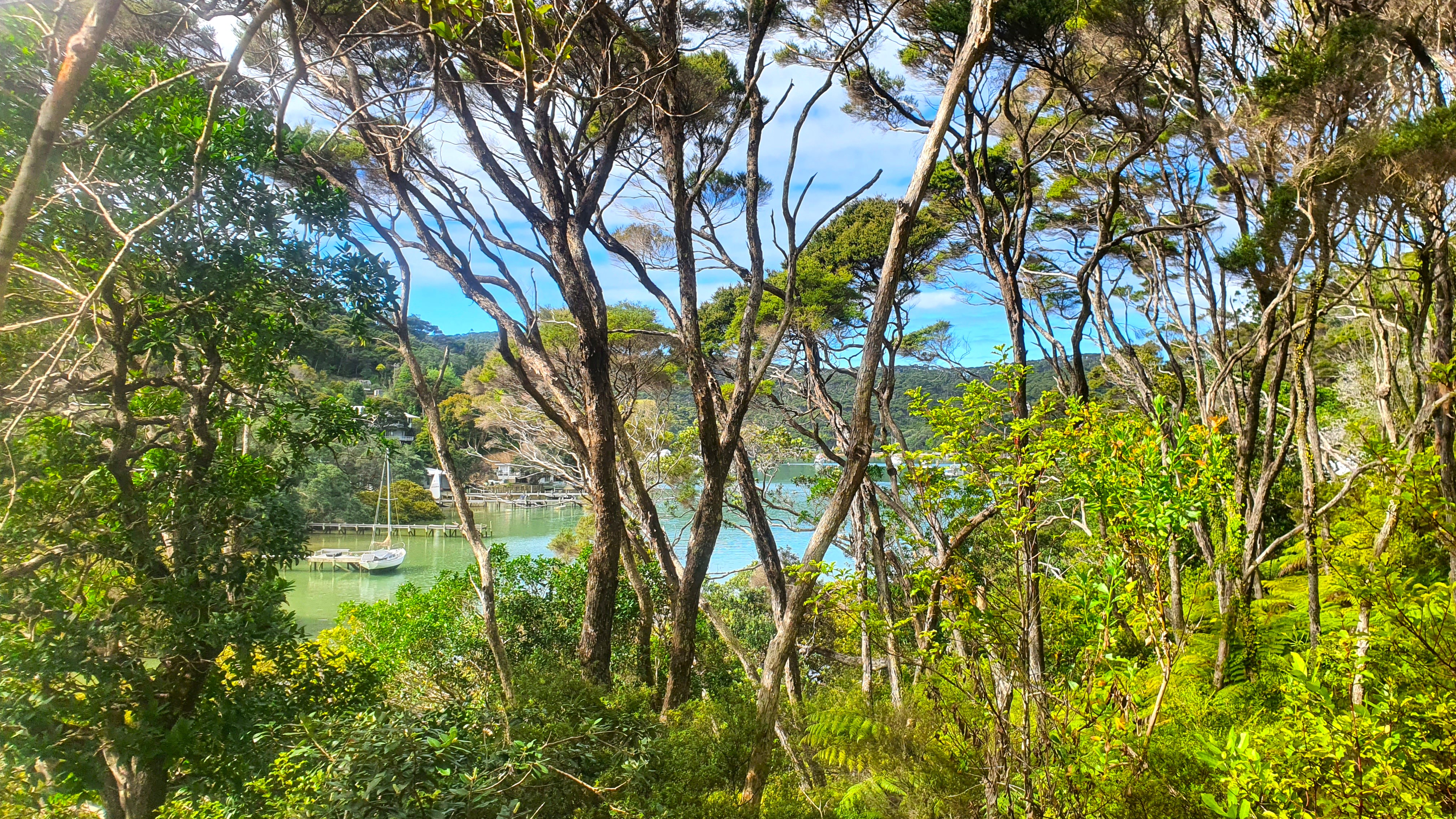 Residential for sale in Hauraki Gulf Islands, Lot 4 DP66008 North Cove, Kawau Island