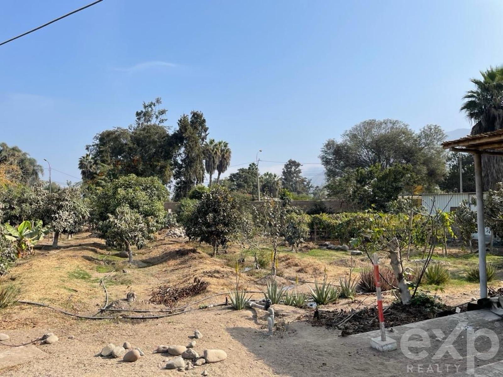 Land en venta en Lima | Cieneguilla | CIENEGUILLA, Av. Tambo Nuevo, Mz F Lote 2, Parcelacion Cieneguilla, Segunda Etapa, 3528 m²