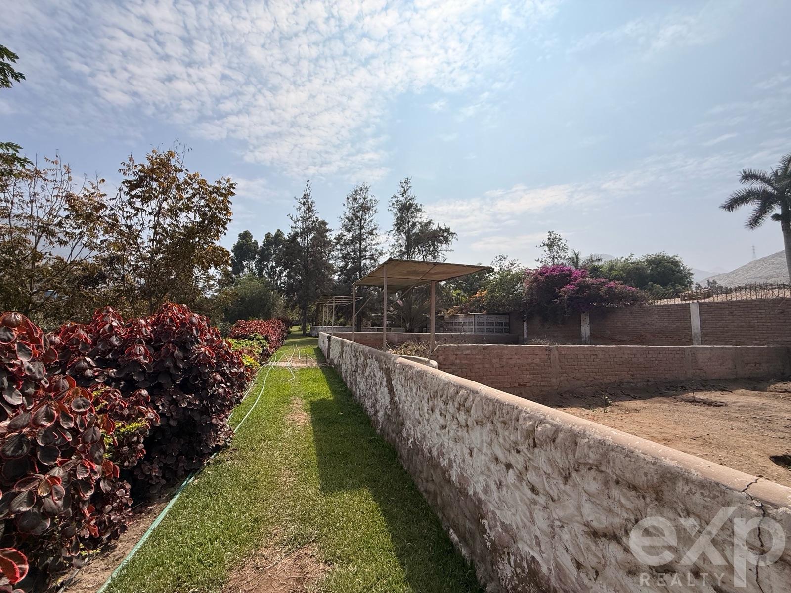 House en alquiler en Lima | Lima | Cieneguilla, Av. Tambo Viejo, Mz F, lote 3-2 Parcelación Cieneguilla, Segunda Etapa, 6497 m²