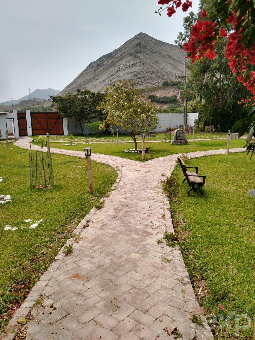 Casa en venta en Peru | Lima | CAÑETE, Santa Rosa de Huarangal, Valle de Cañete, 11125 m²