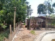 Casa en venta en Peru | Lima | CAÑETE, Santa Rosa de Huarangal, Valle de Cañete, 11125 m²