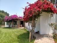 Casa en venta en Peru | Lima | CAÑETE, Santa Rosa de Huarangal, Valle de Cañete, 11125 m²