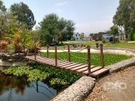 Casa en venta en Peru | Lima | CAÑETE, Santa Rosa de Huarangal, Valle de Cañete, 11125 m²