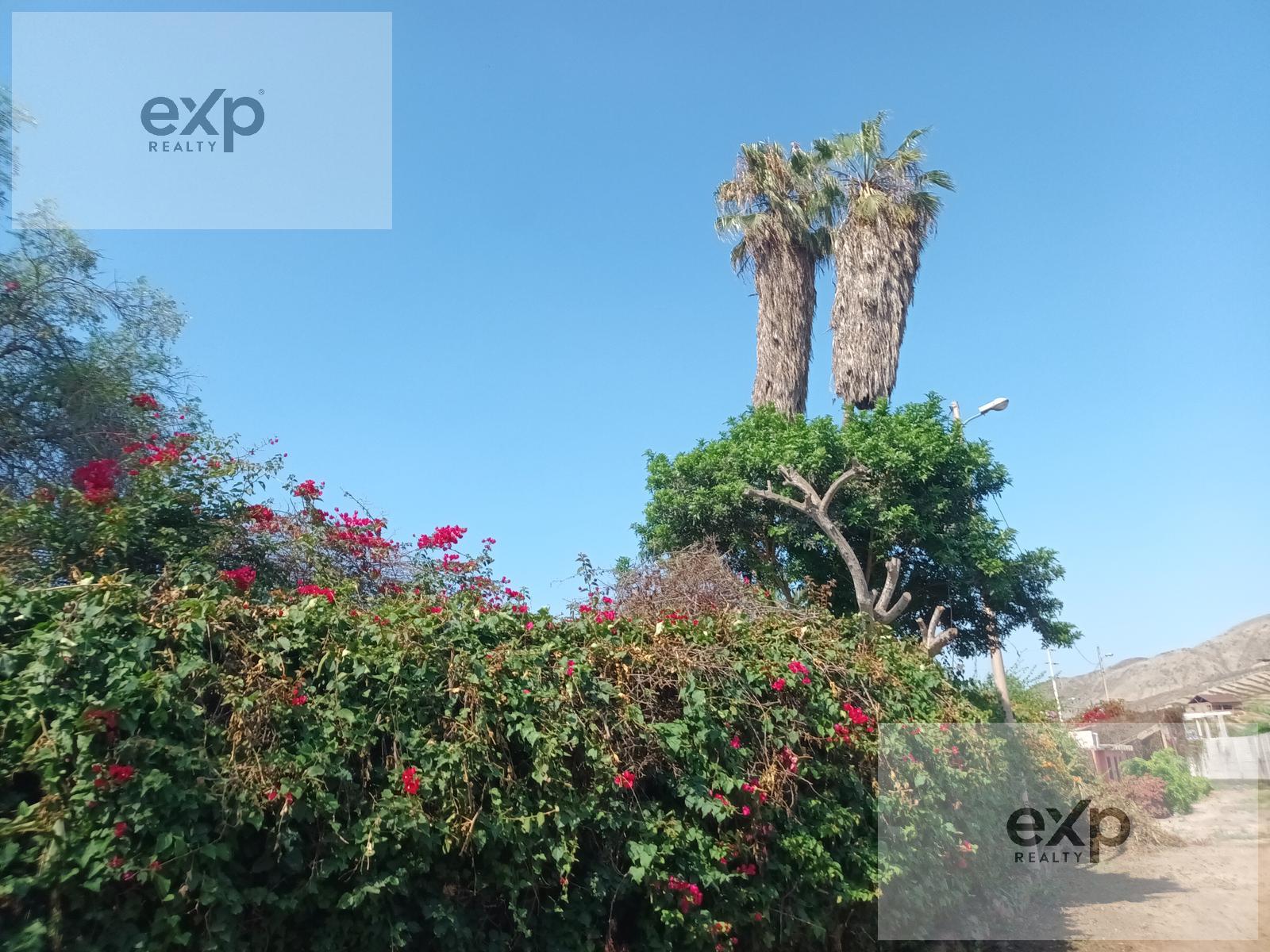Casa en venta en Huaral | Huaral | HUARAL, Casa Hacienda en La Esperanza Huaral, 3629 m²