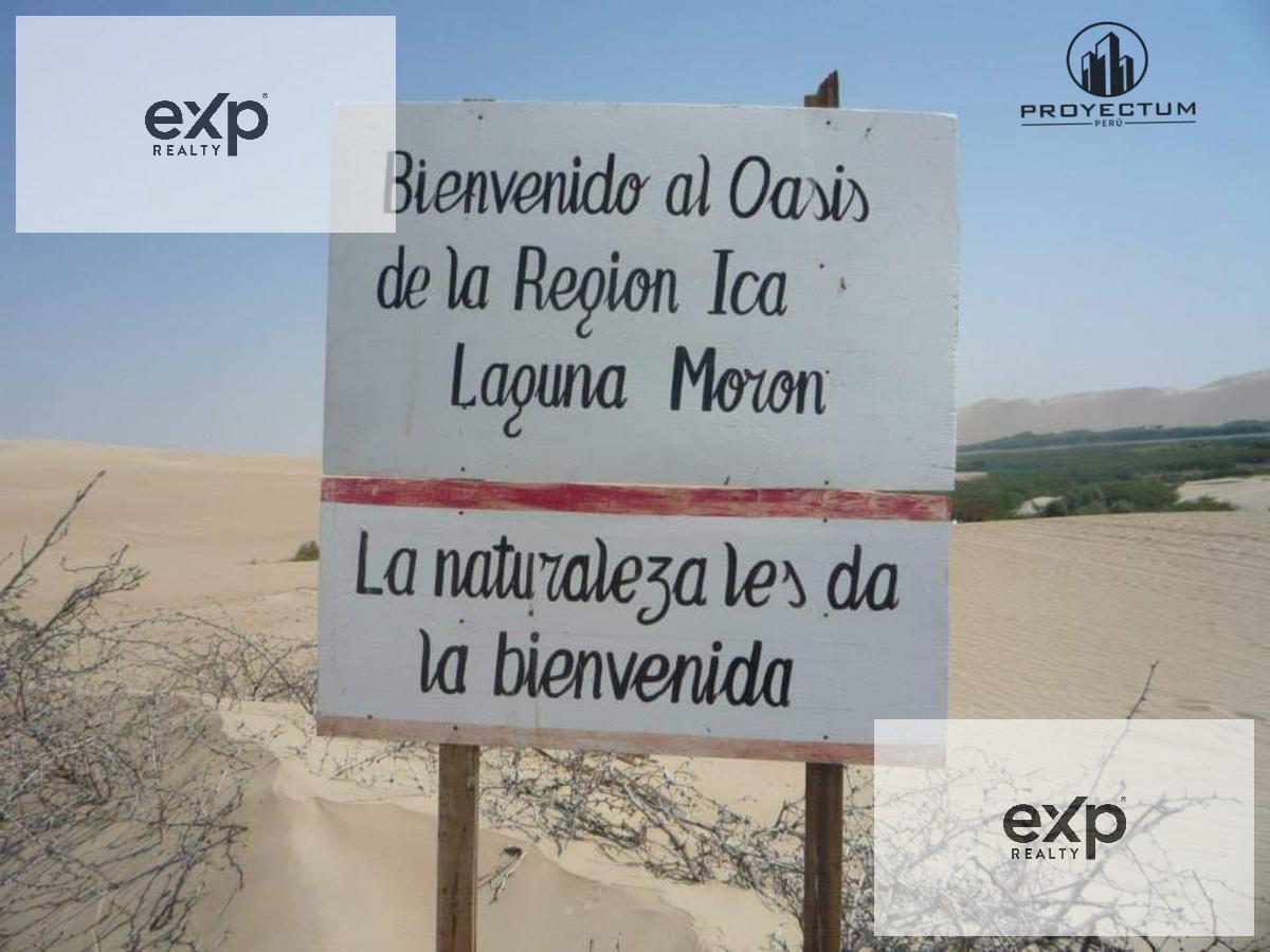 Terreno en venta en Peru | Ica | Pisco, Humay, 50 ha