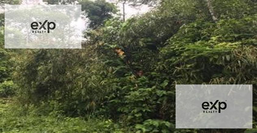 Terreno en venta en Madre de Dios | Tambopata | Tambopata, Condominio Residencial Tambopata, 1981 m²