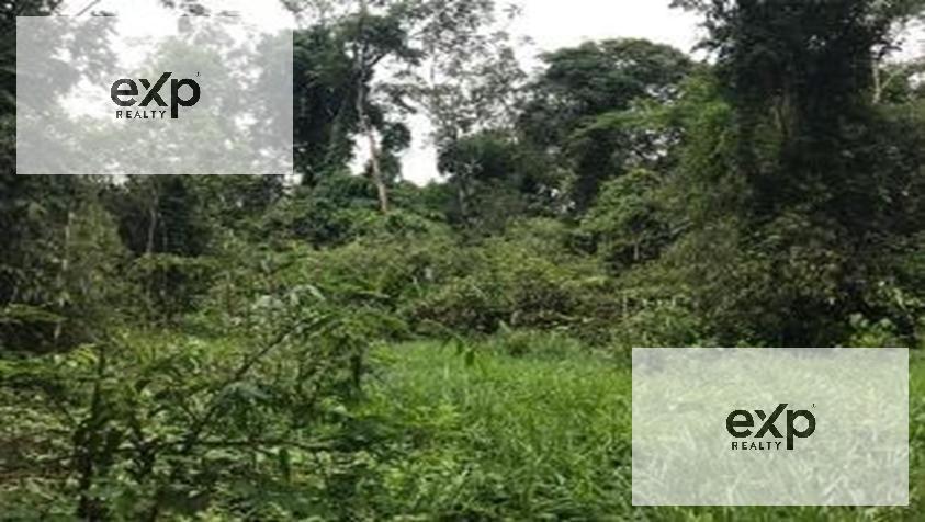 Terreno en venta en Madre de Dios | Tambopata | Tambopata, Condominio Residencial Tambopata, 1981 m²