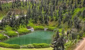 The Best Land in La Quebrada Farm in Cieneguilla 5