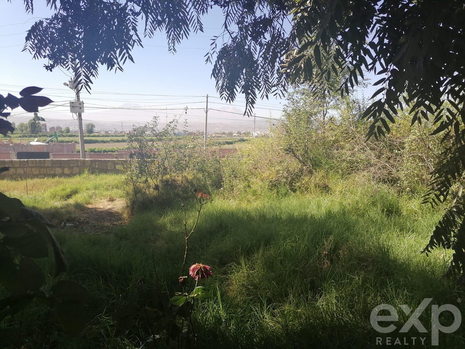 Terreno en venta en Arequipa | Arequipa | Yanahuara, Quinta Taboada - Yanahuara, 7749 m²