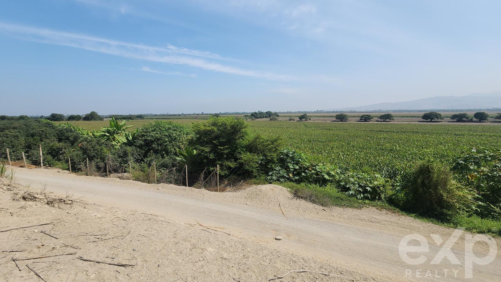 Land for sale in Ica | Chincha | El Carmen, PARCELA N° 133 UC N° 14267, SECTOR SAN ALFREDO, DISTRITO EL CARMEN, 20467 ha