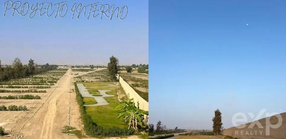 Terreno en venta en Ica | Chincha | El Carmen, Urbanización Parcela 100 El Carmen, 640 m²