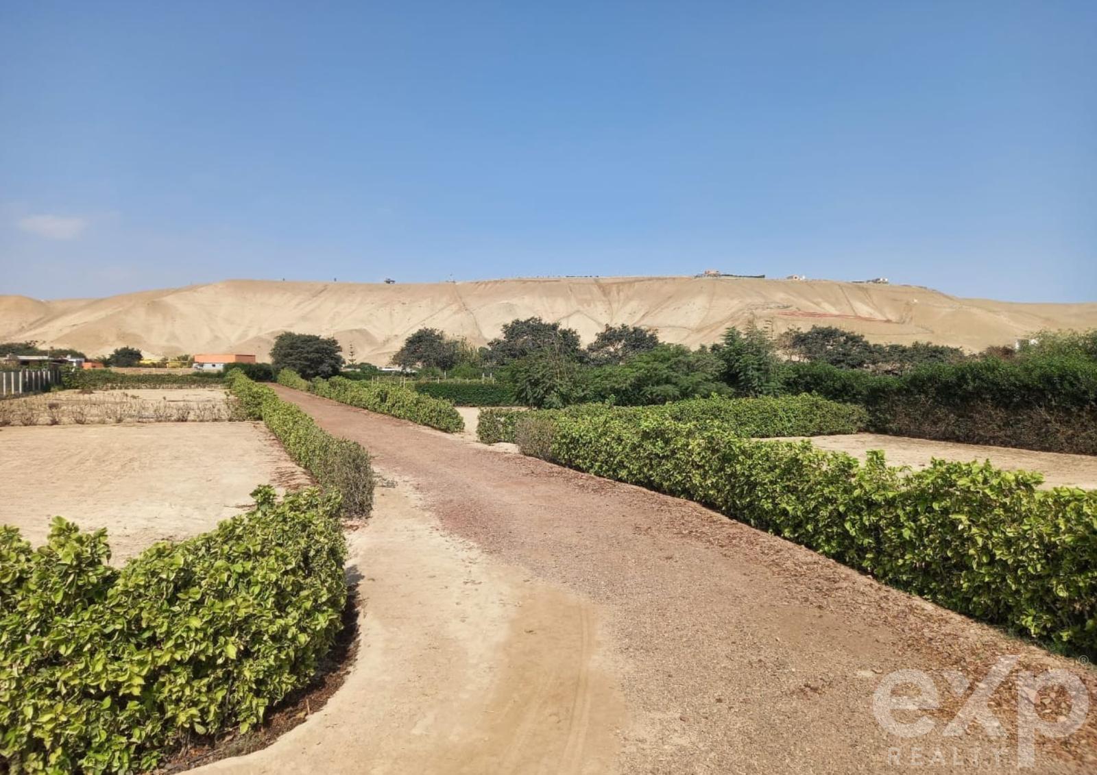 600 m2 Land in Rural Condominium - Asia - Cañete 5