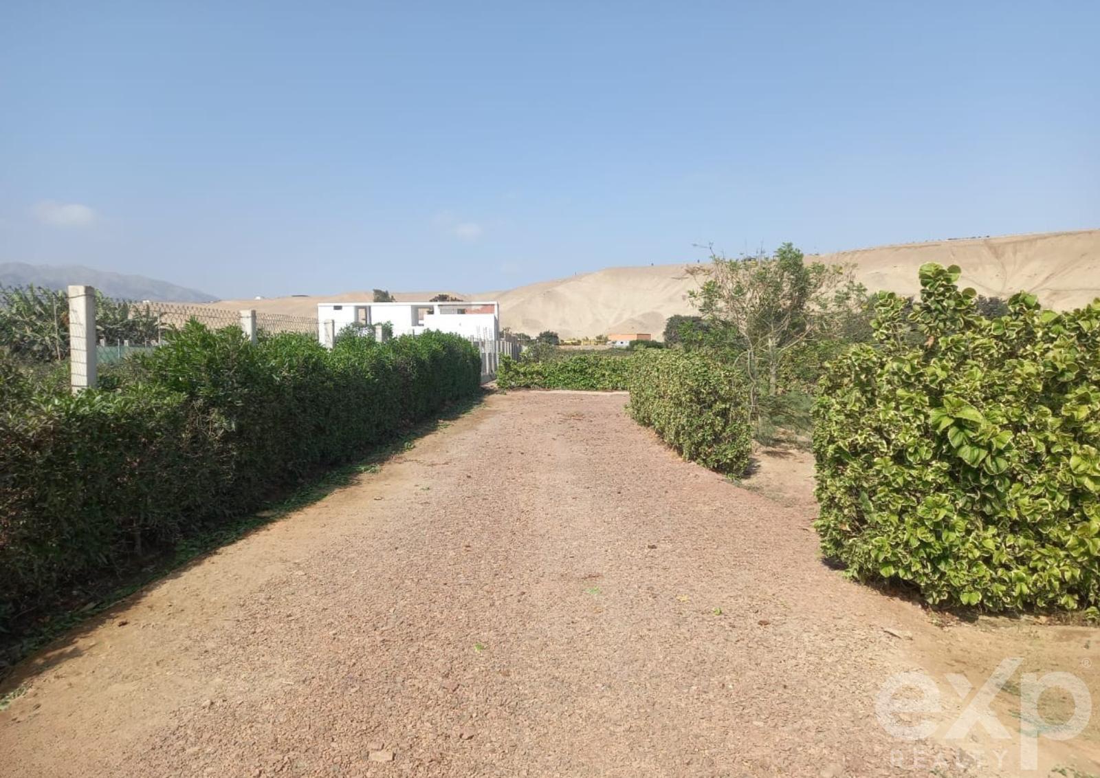 600 m2 Land in Rural Condominium - Asia - Cañete 4